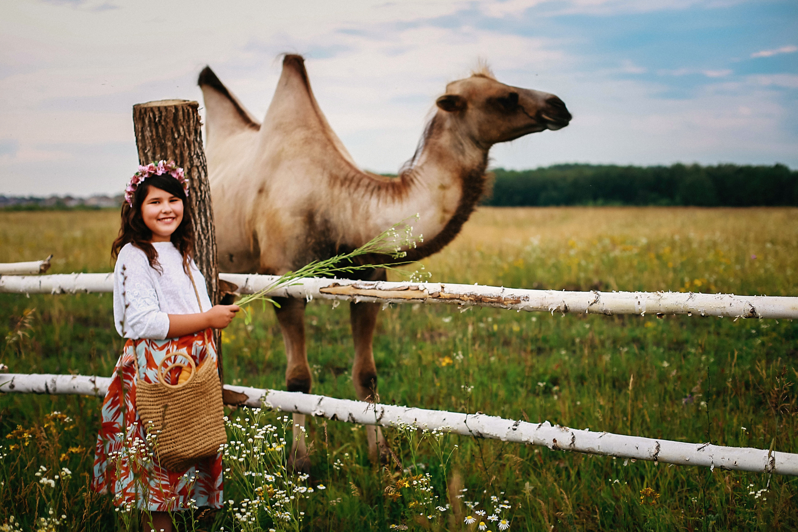 Кормление верблюдов. Семейная съемка. Иванова Ирина Свадебный и семейный фотограф г. Уфа