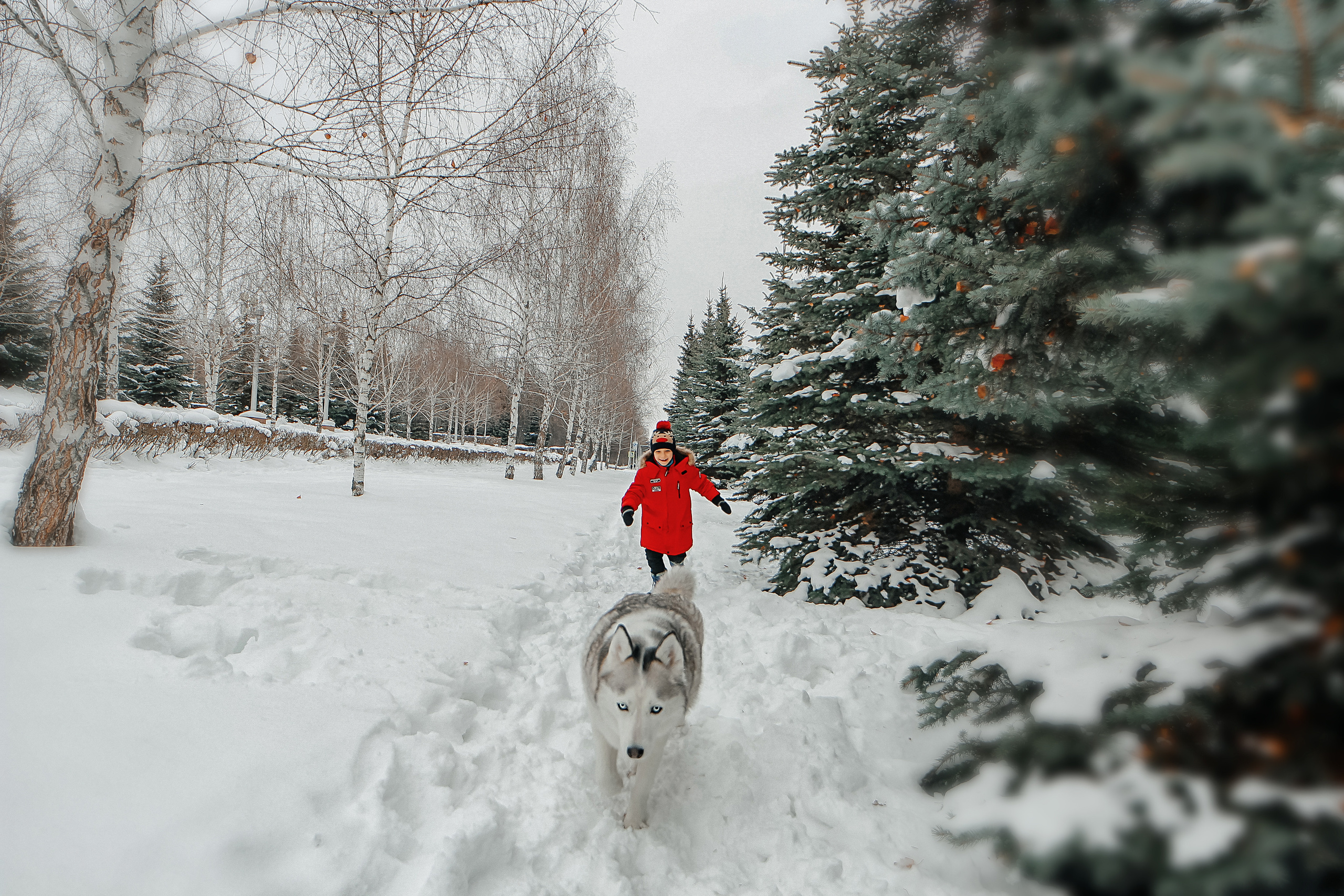 Фотосессия с Хаски). Иванова Ирина Свадебный и семейный фотограф г. Уфа