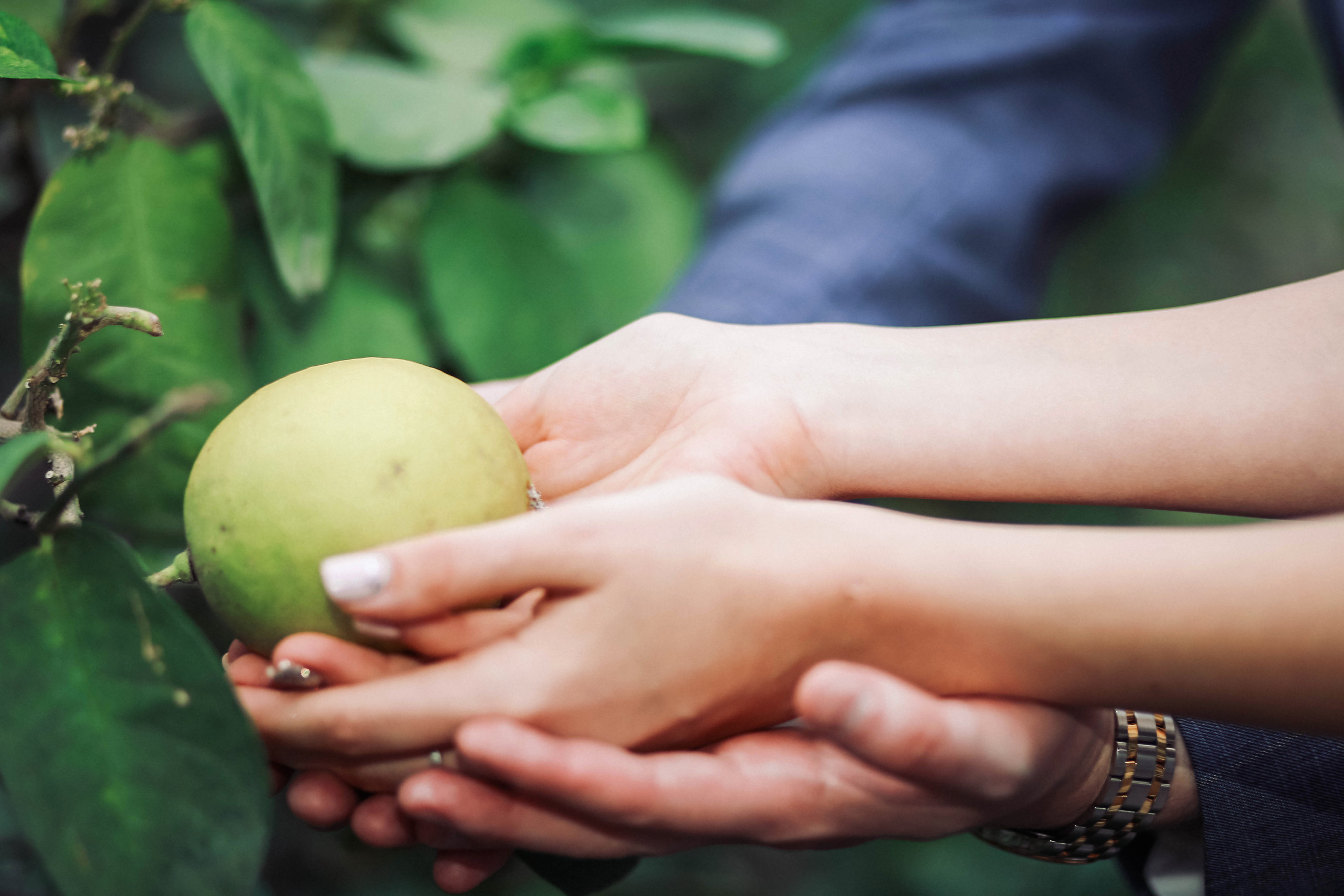 Максим + Александра. Иванова Ирина Свадебный и семейный фотограф г. Уфа
