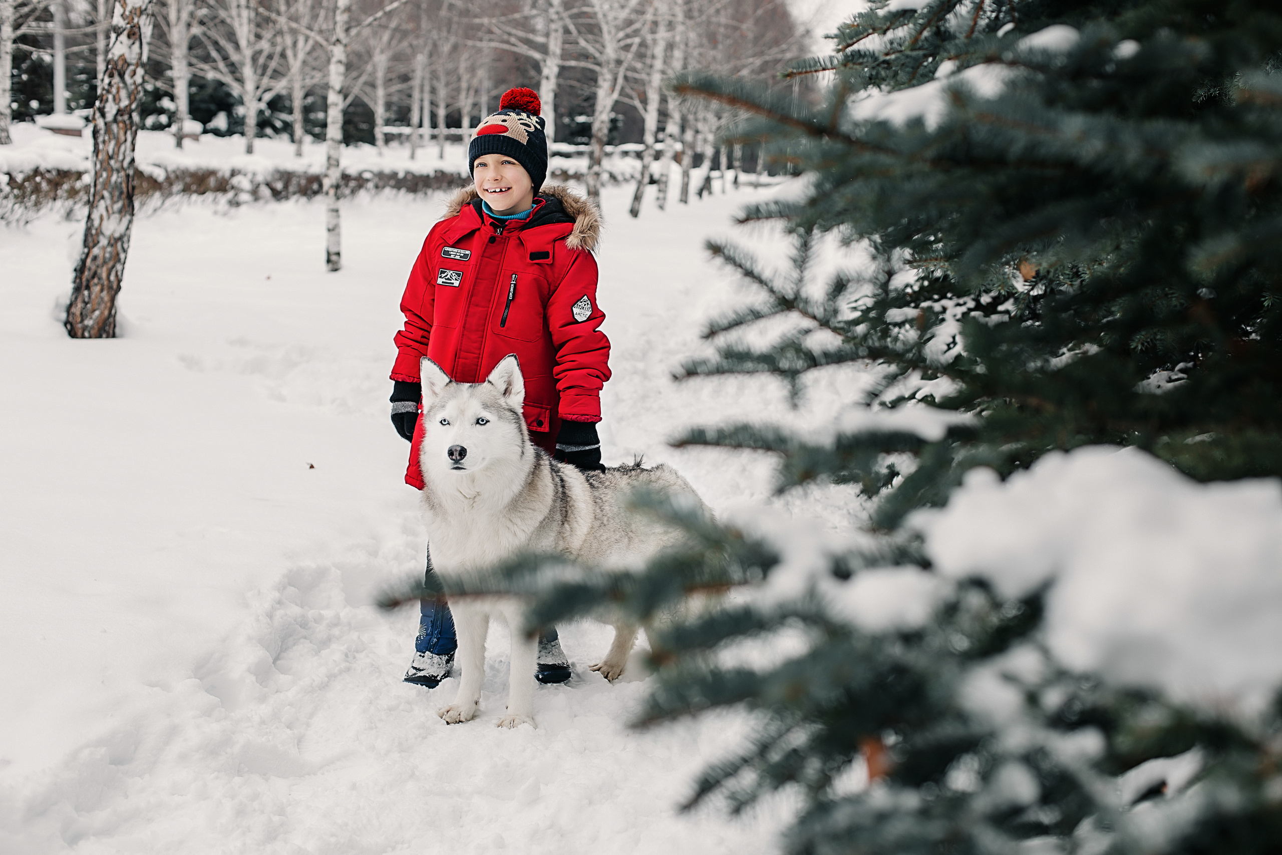Фотосессия с Хаски). Иванова Ирина Свадебный и семейный фотограф г. Уфа