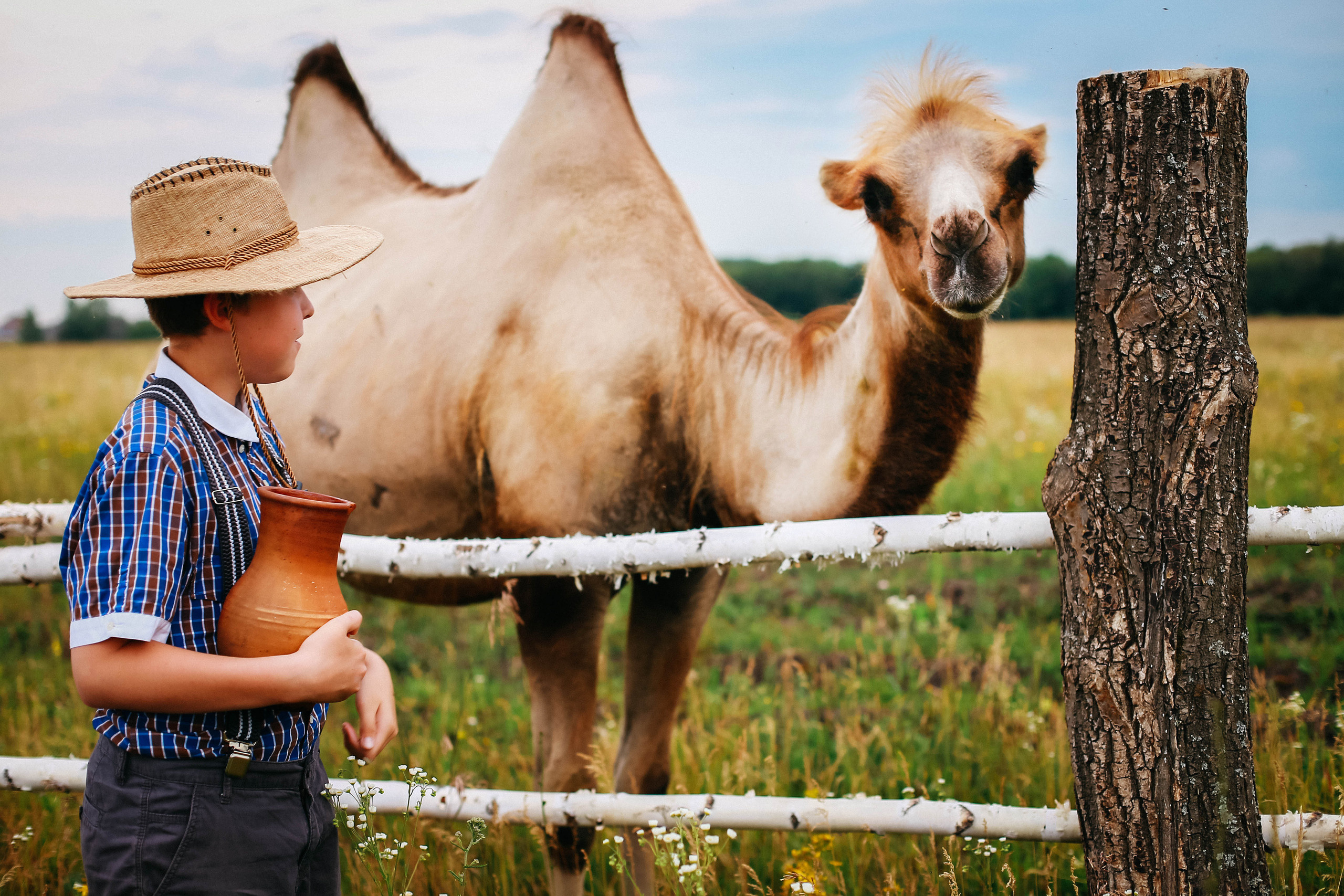 Кормление верблюдов. Семейная съемка. Иванова Ирина Свадебный и семейный фотограф г. Уфа