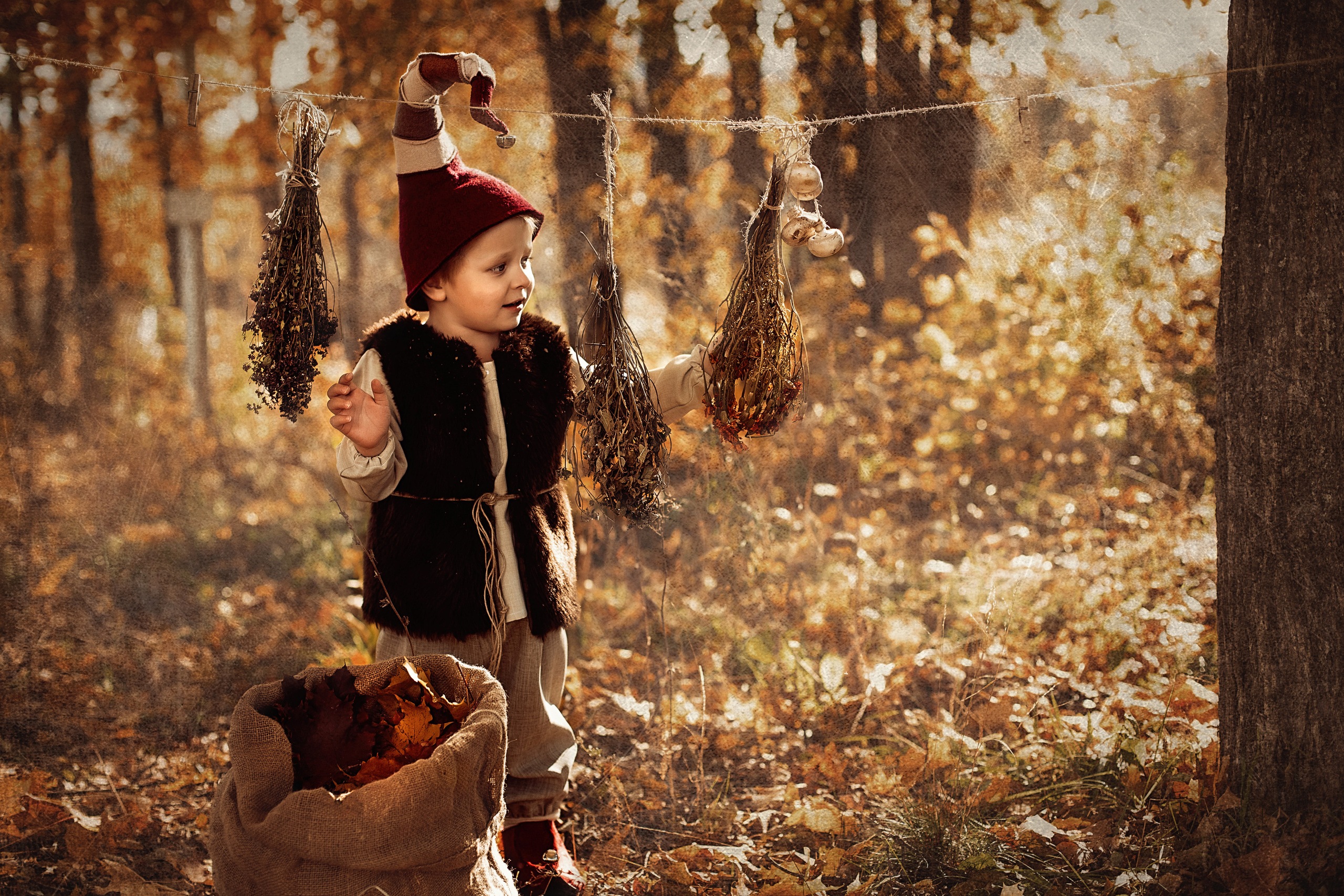 Осенние гномики)). Иванова Ирина Свадебный и семейный фотограф г. Уфа