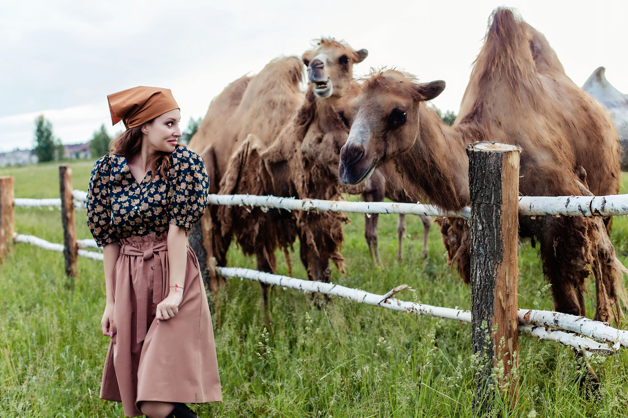 Фотосессия с верблюдами. Иванова Ирина Свадебный и семейный фотограф г. Уфа