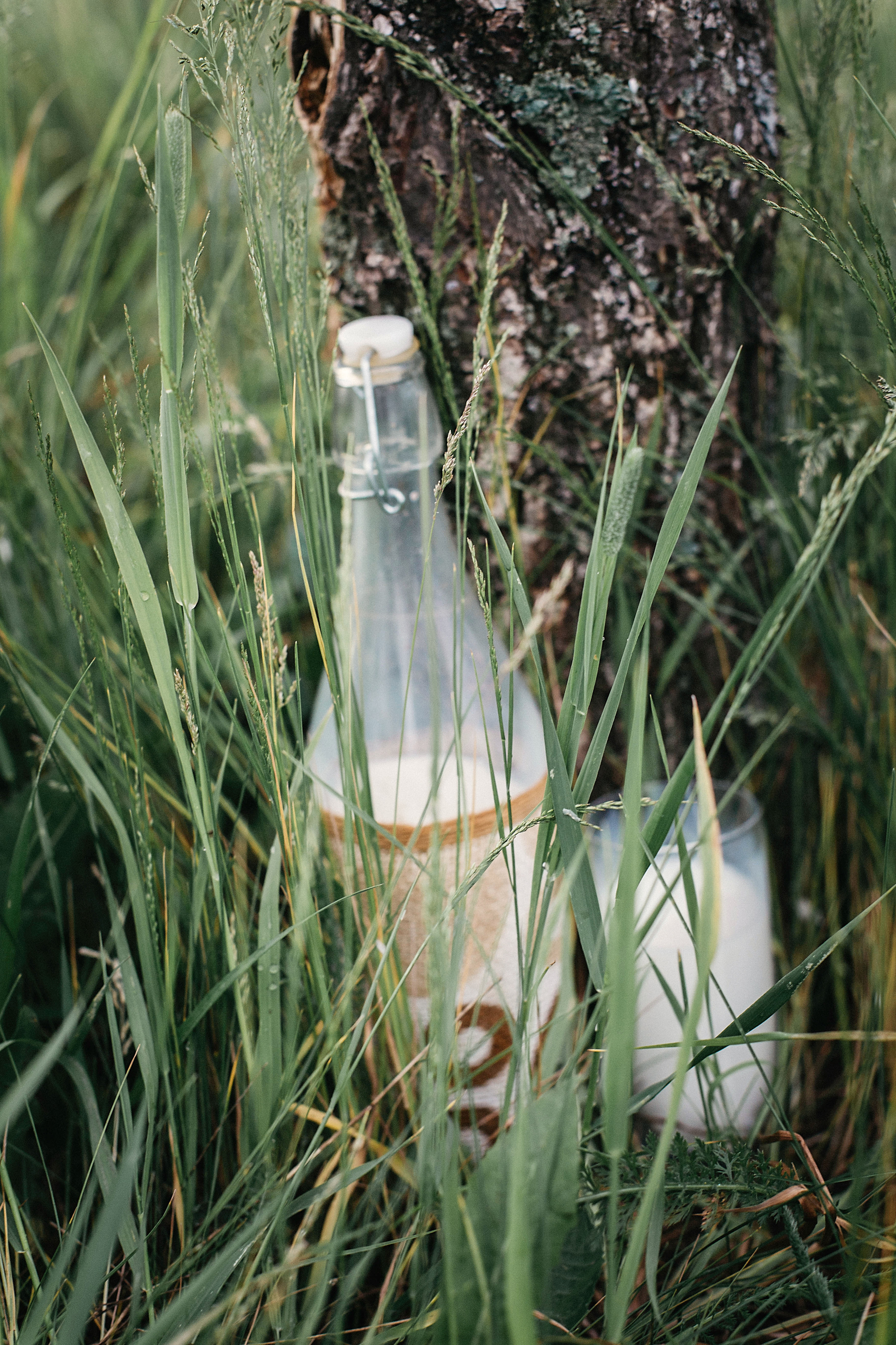 Фотосессия с верблюдами. Иванова Ирина Свадебный и семейный фотограф г. Уфа