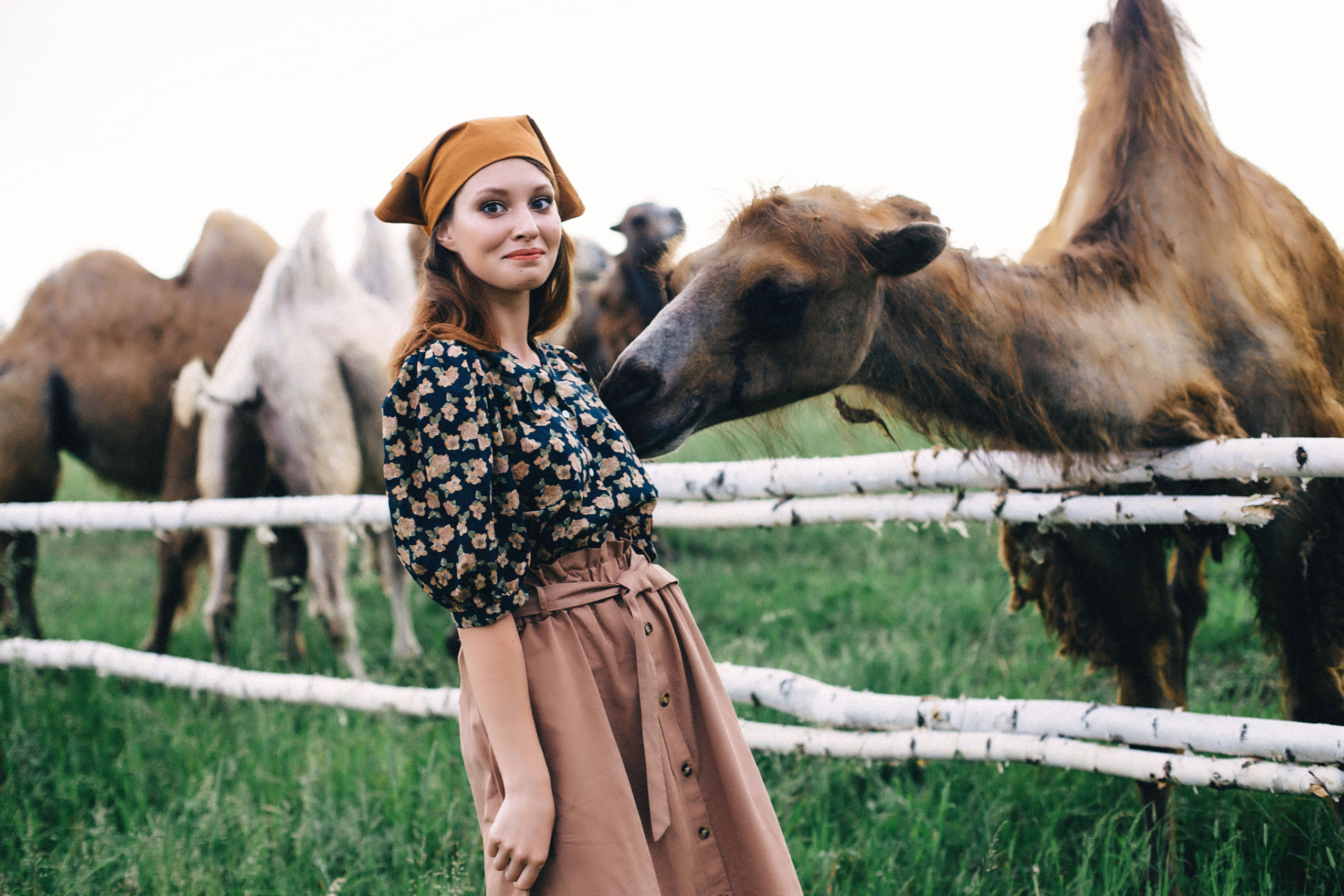 Фотосессия с верблюдами. Иванова Ирина Свадебный и семейный фотограф г. Уфа