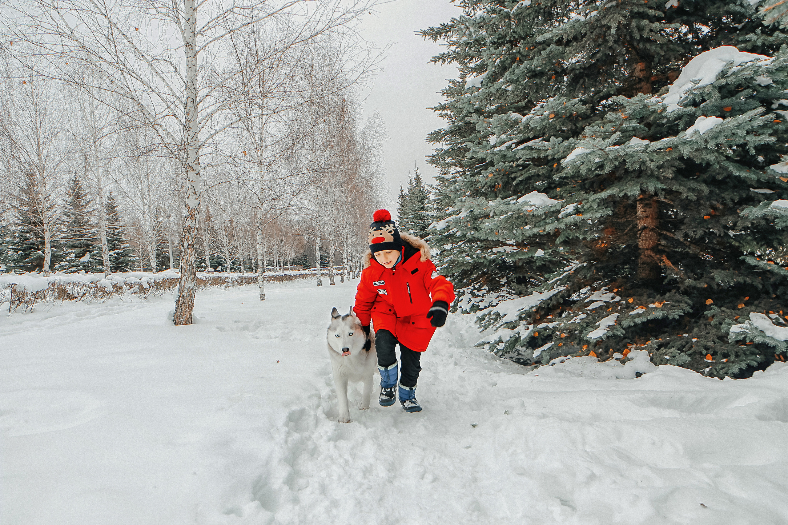 Фотосессия с Хаски). Иванова Ирина Свадебный и семейный фотограф г. Уфа