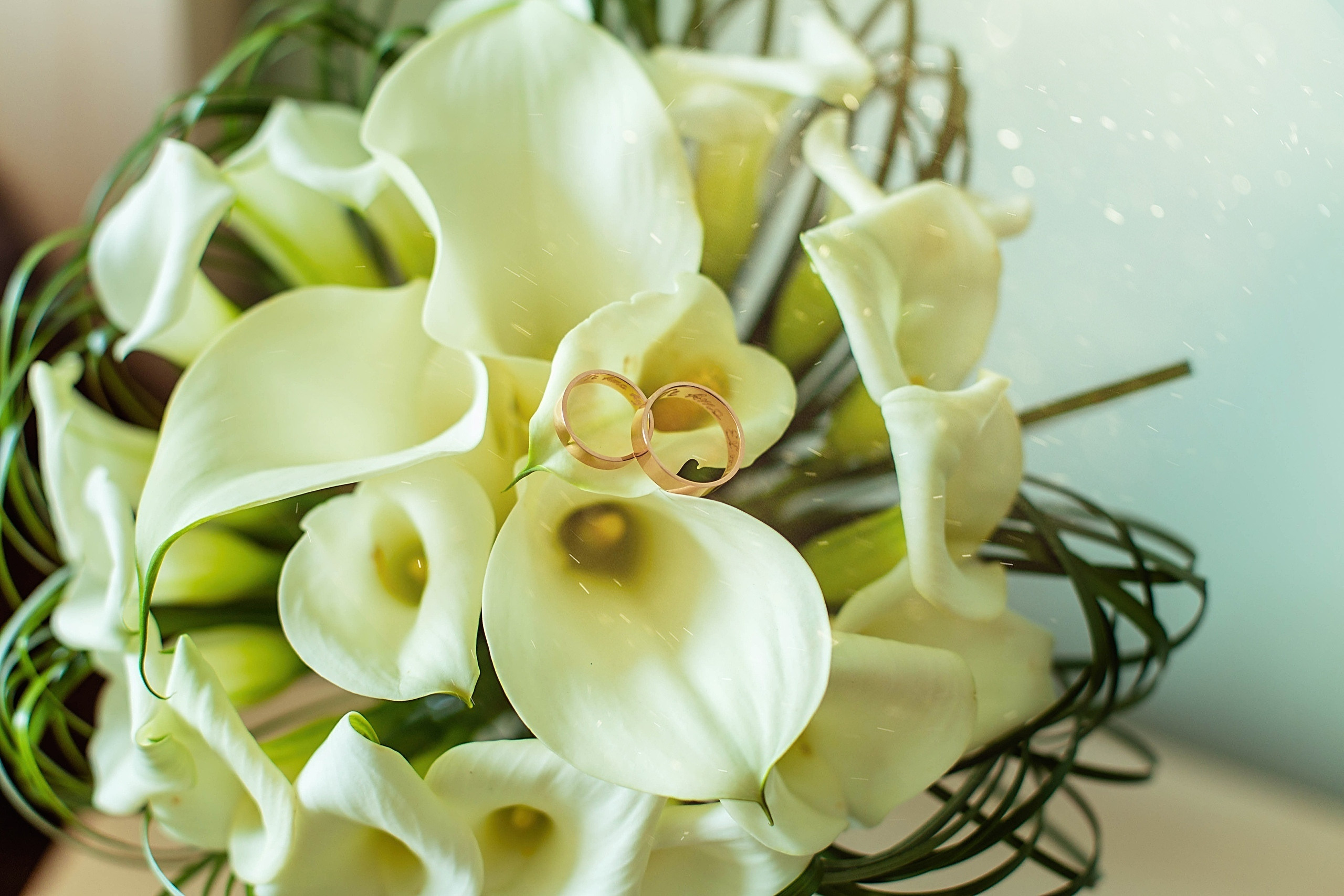 Свадебные кольца. Сниму ваши кольца так как никто не делает)). Иванова Ирина Свадебный и семейный фотограф г. Уфа