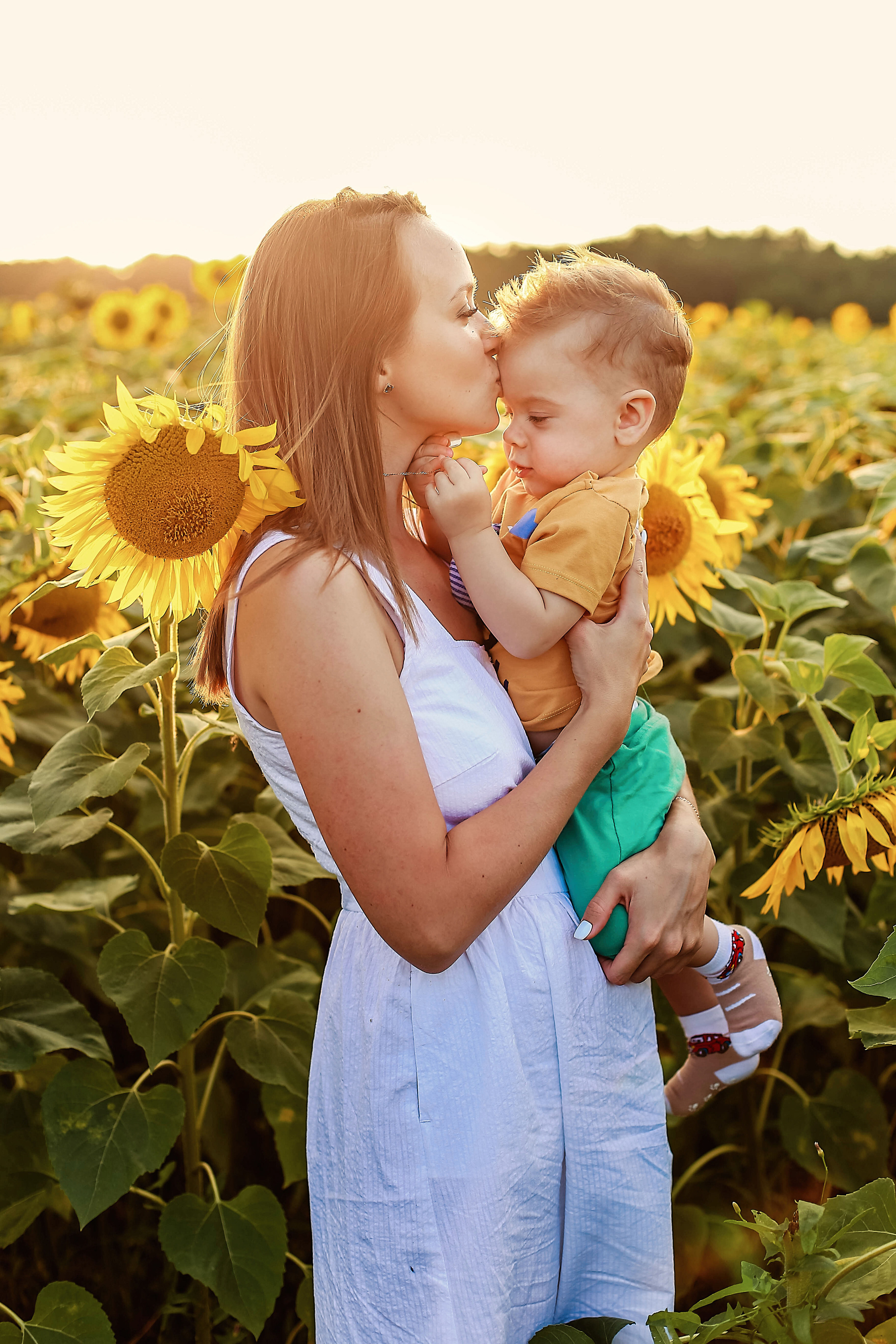 Семья в подсолнухах)). Иванова Ирина Свадебный и семейный фотограф г. Уфа