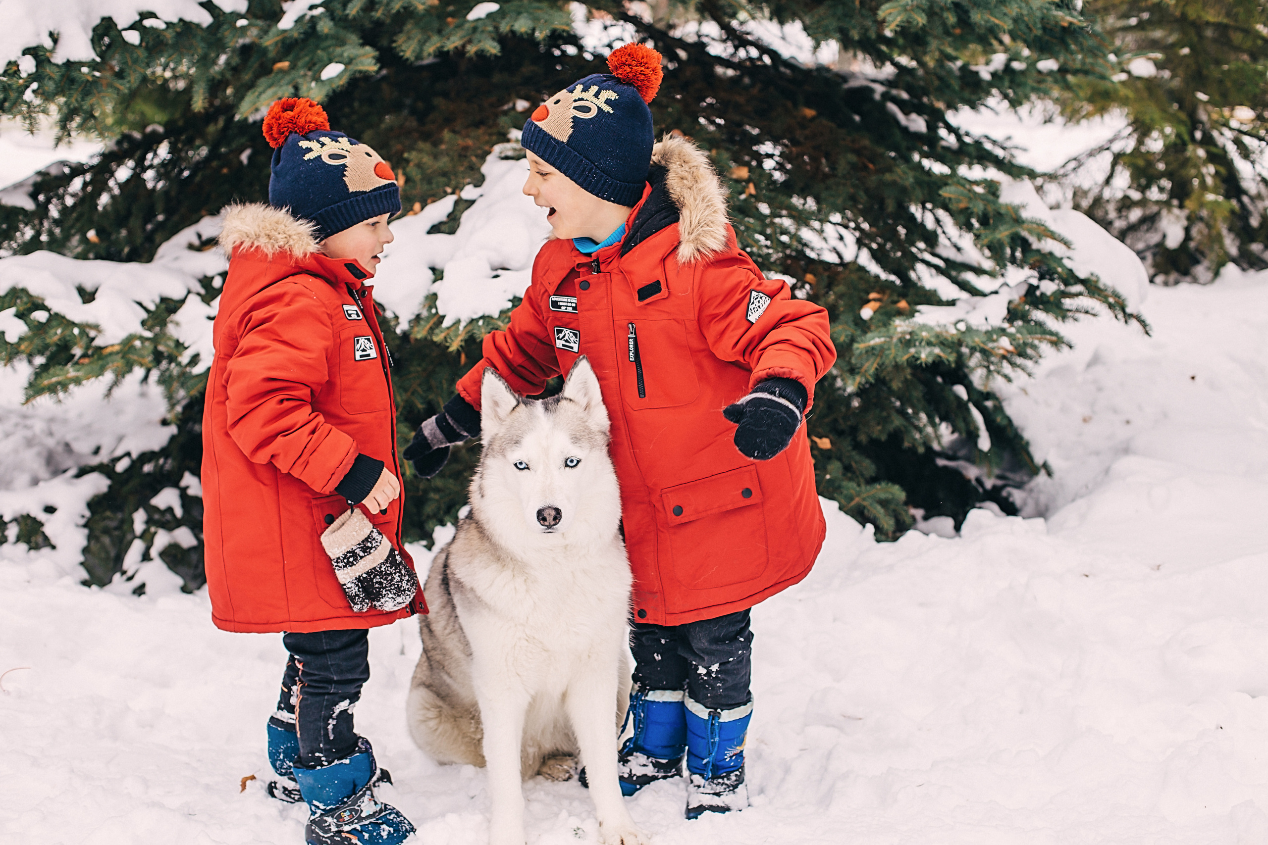 Фотосессия с Хаски). Иванова Ирина Свадебный и семейный фотограф г. Уфа