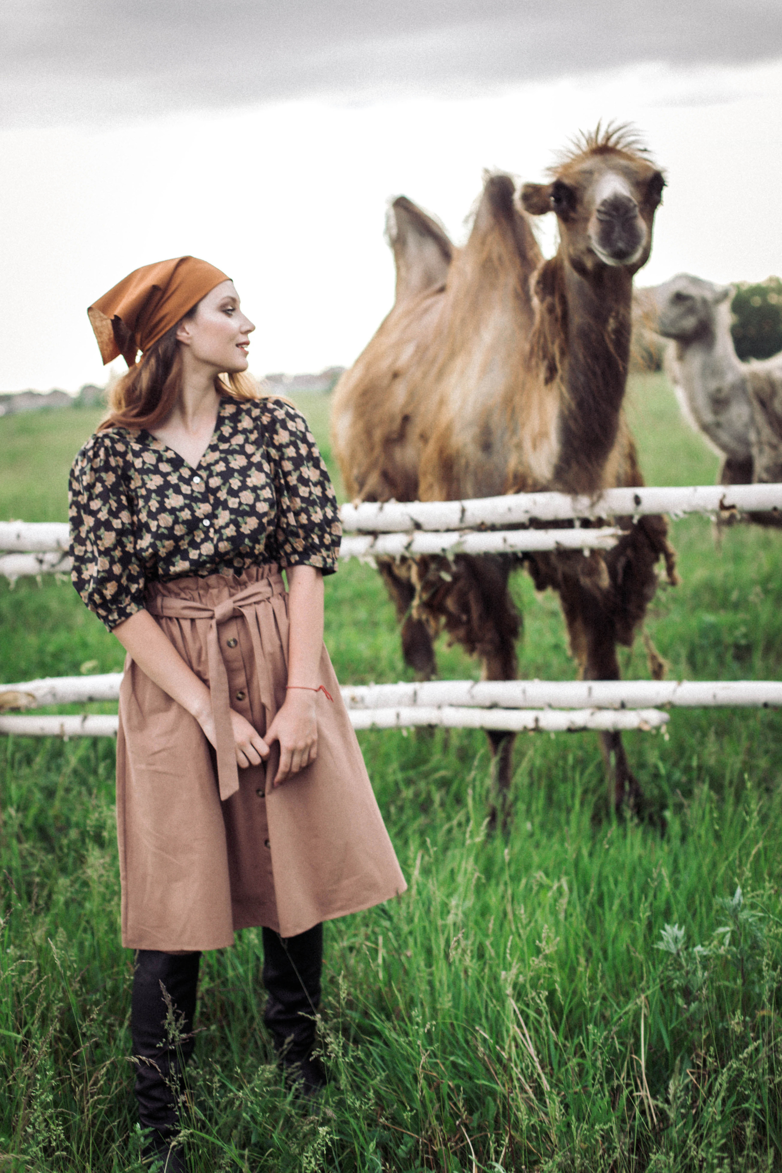 Фотосессия с верблюдами. Иванова Ирина Свадебный и семейный фотограф г. Уфа