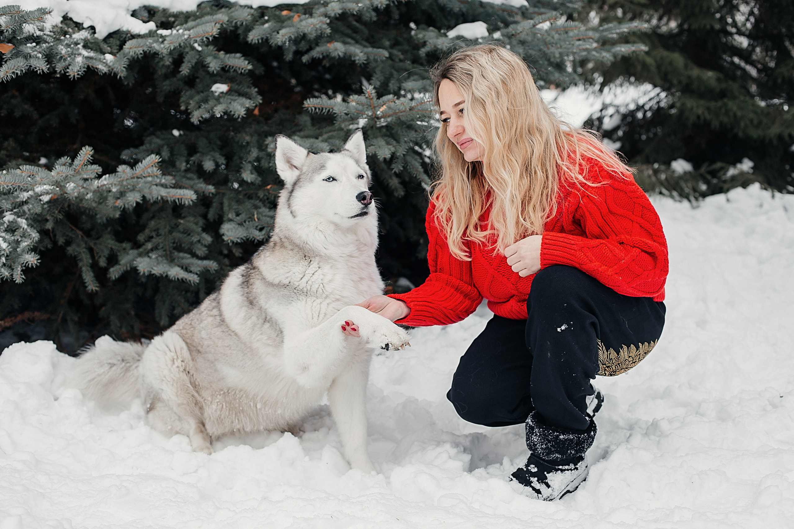 Фотосессия с Хаски). Иванова Ирина Свадебный и семейный фотограф г. Уфа