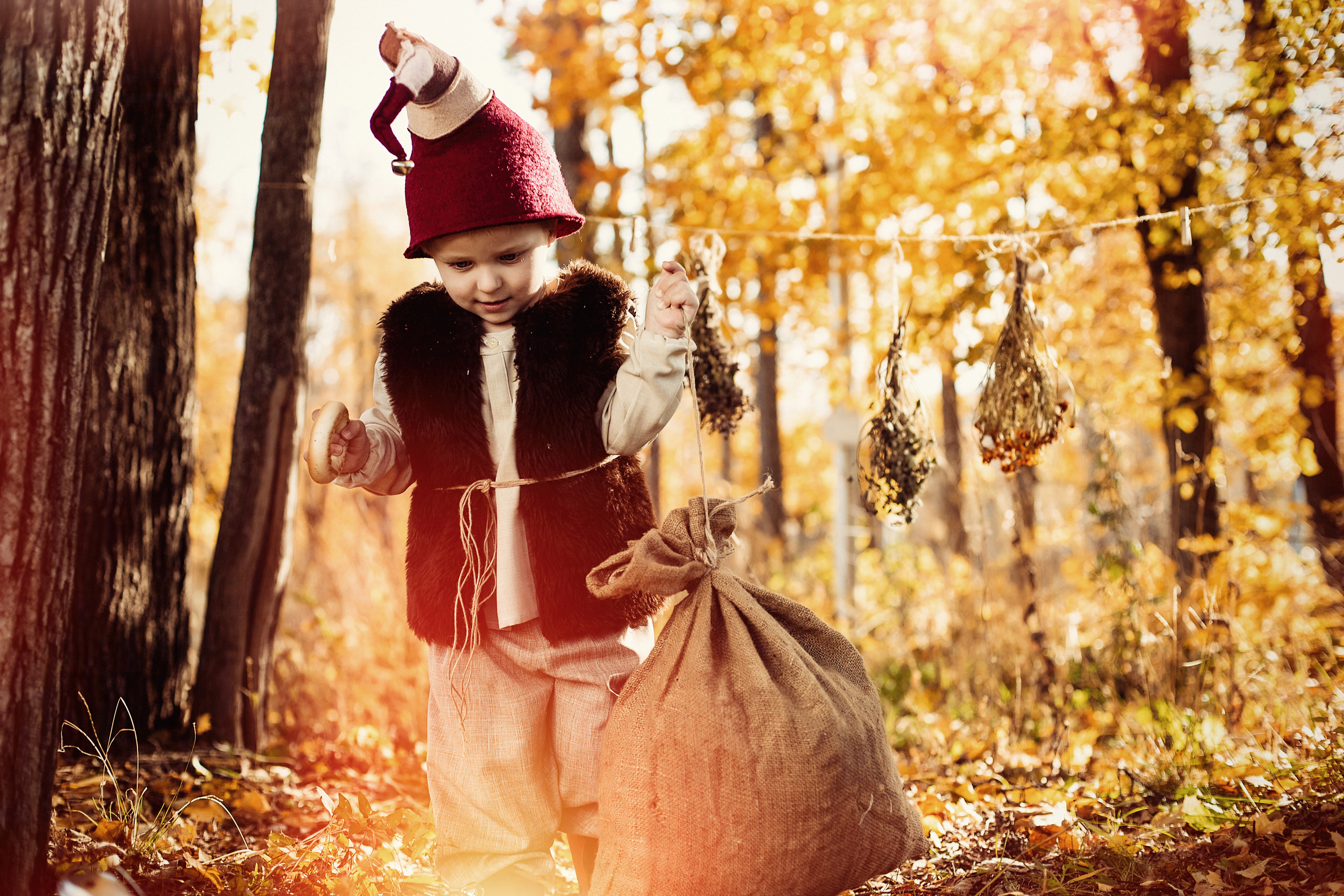 Осенние гномики)). Иванова Ирина Свадебный и семейный фотограф г. Уфа
