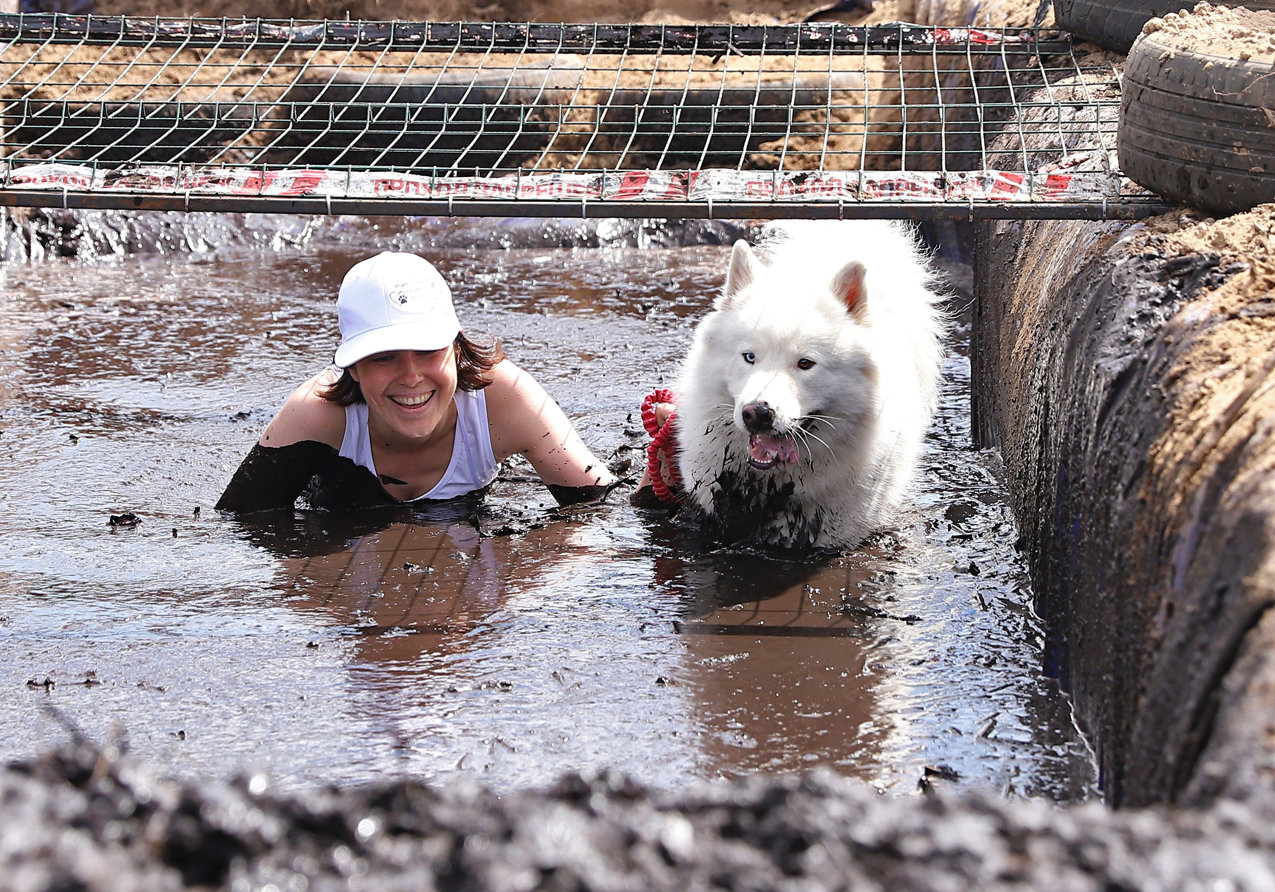 Хвостатый драйв. Семейный и детский фотограф в Москве и МО Елена Москвичева