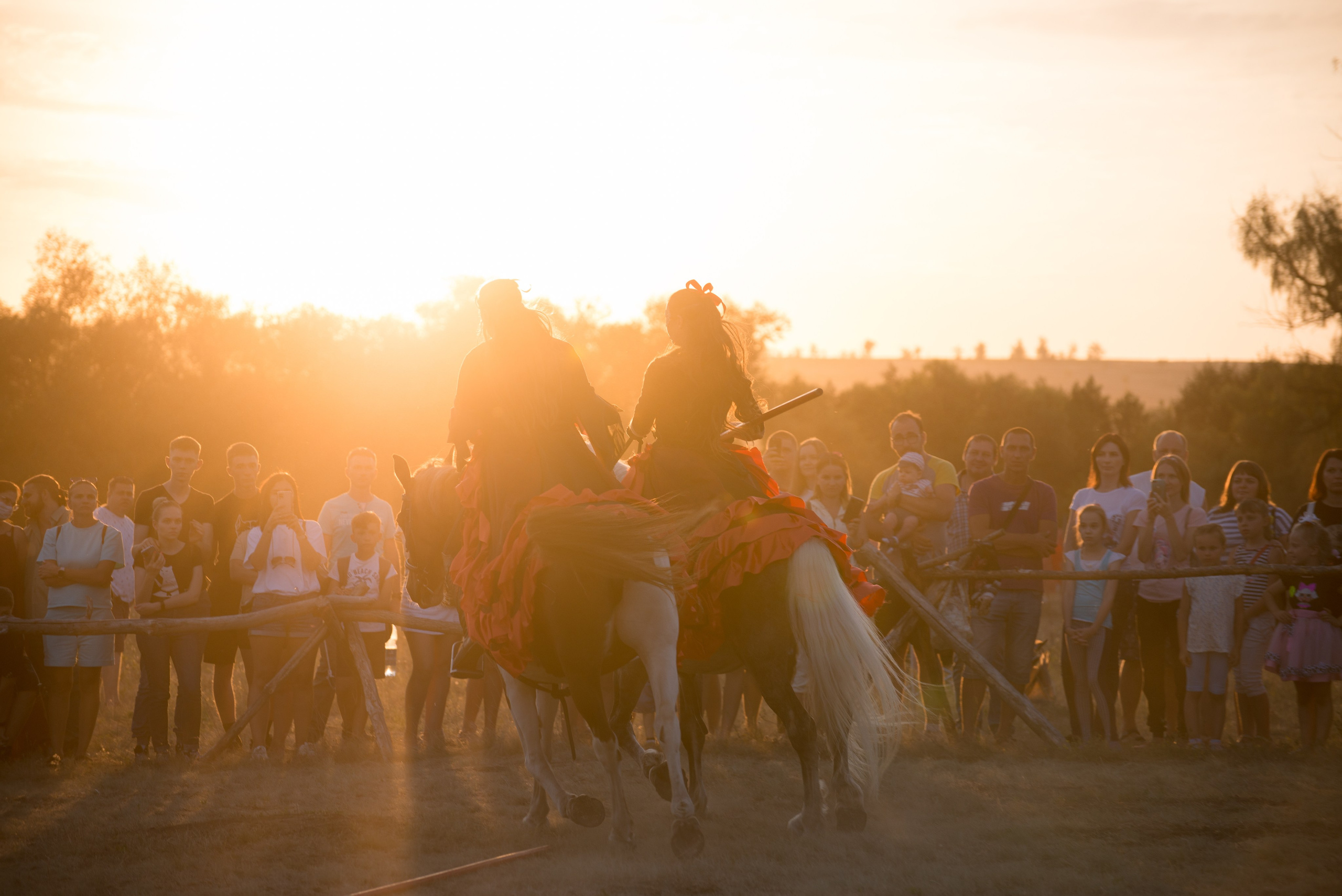Карнавал Догвинтер. Конный фотограф в Саратове Юлия Иванова