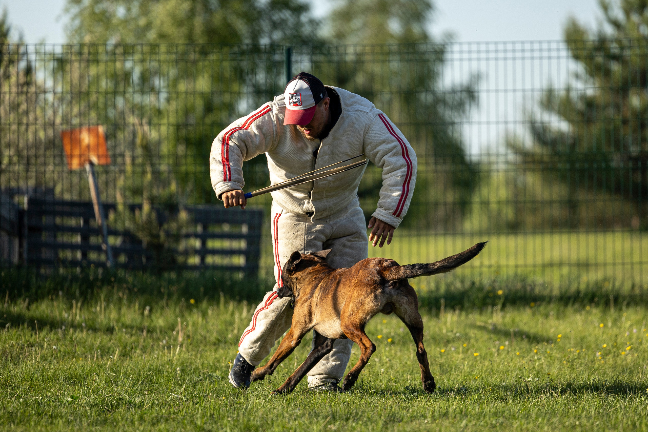Испытания по мондьорингу в Нижнем Новгороде. Фотограф-анималист Анна Маринич