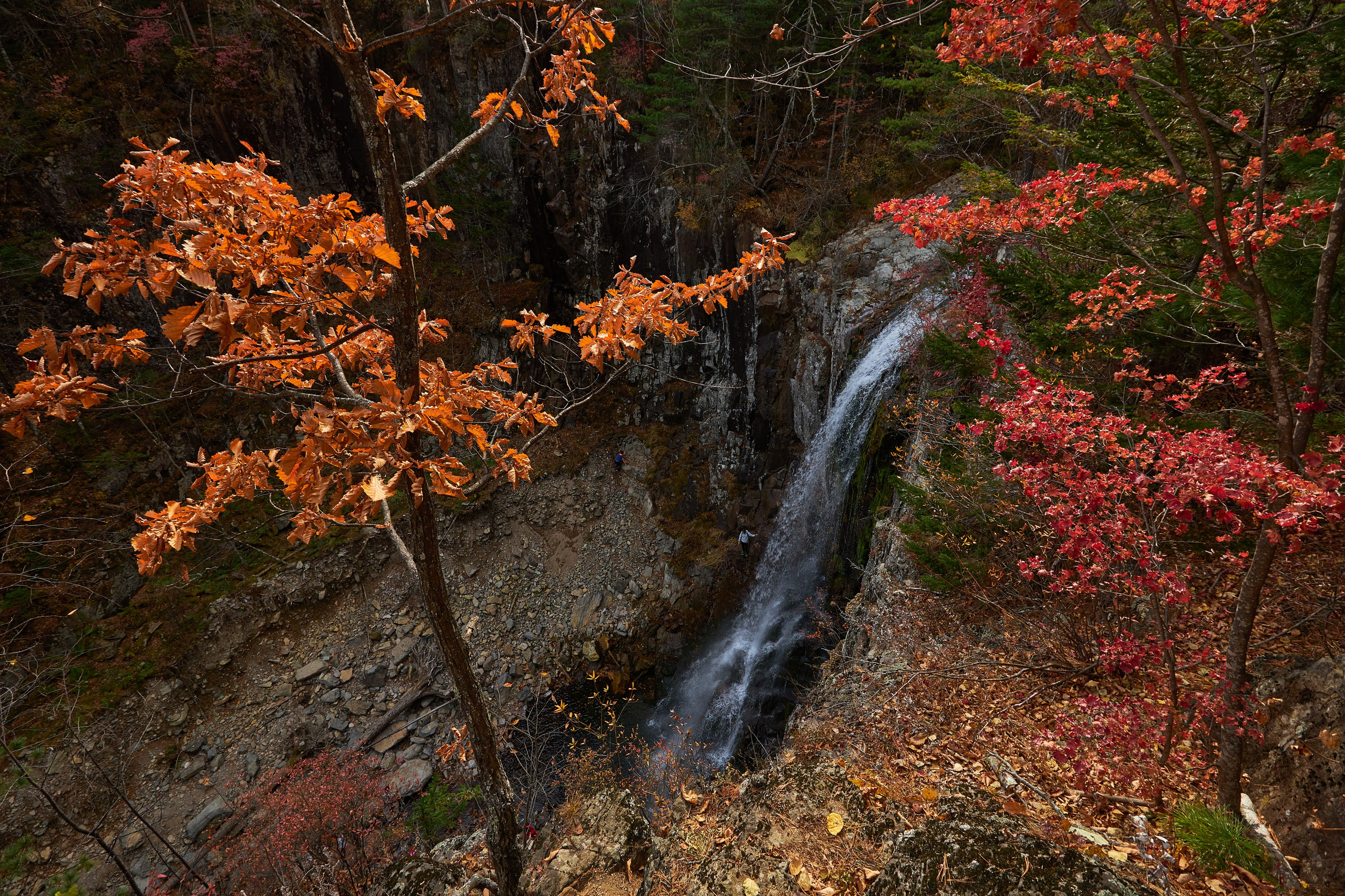 Пейзаж. Репортажный Фотограф во Владивостоке и России Осипчук Дмитрий