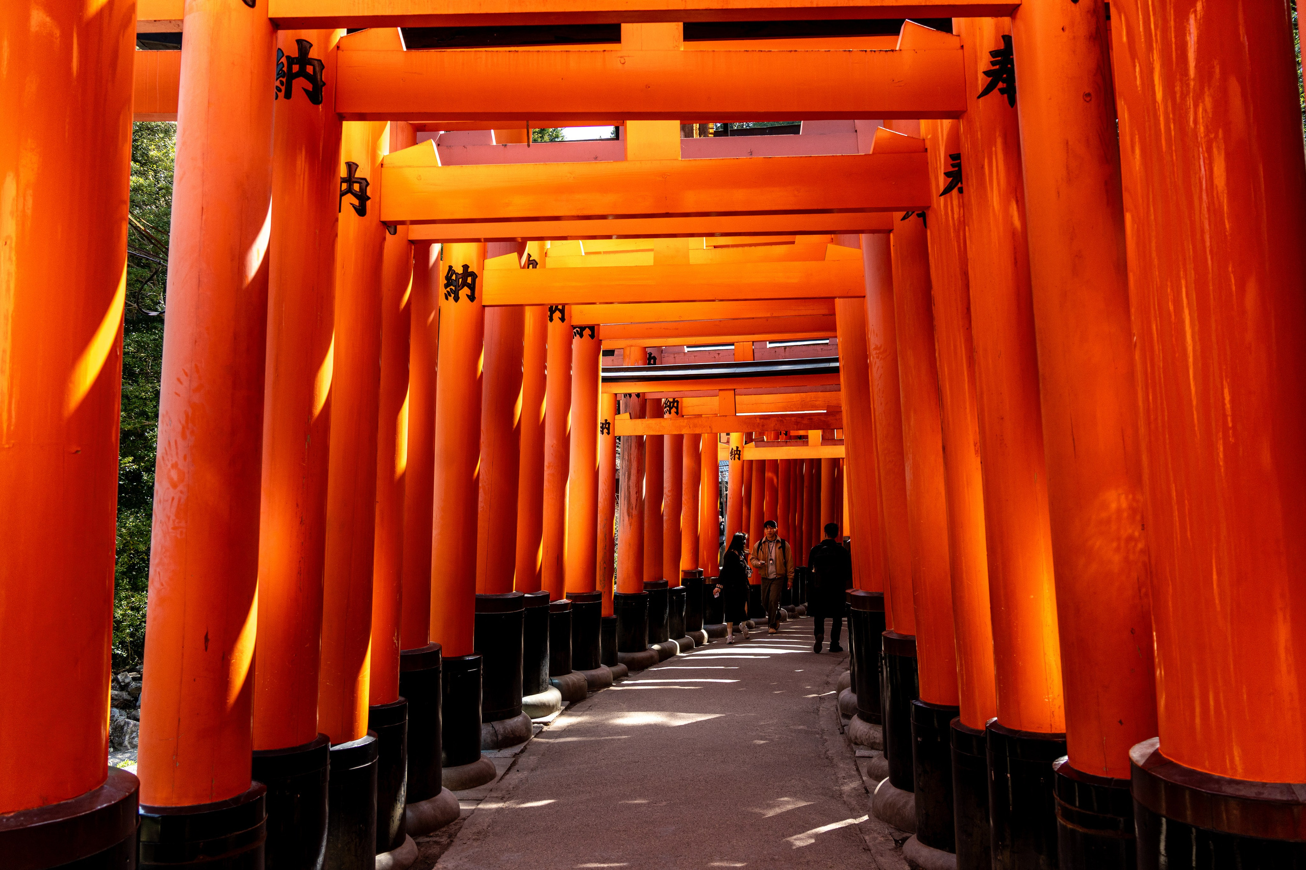 Япония, сакура. Творческие сьемки