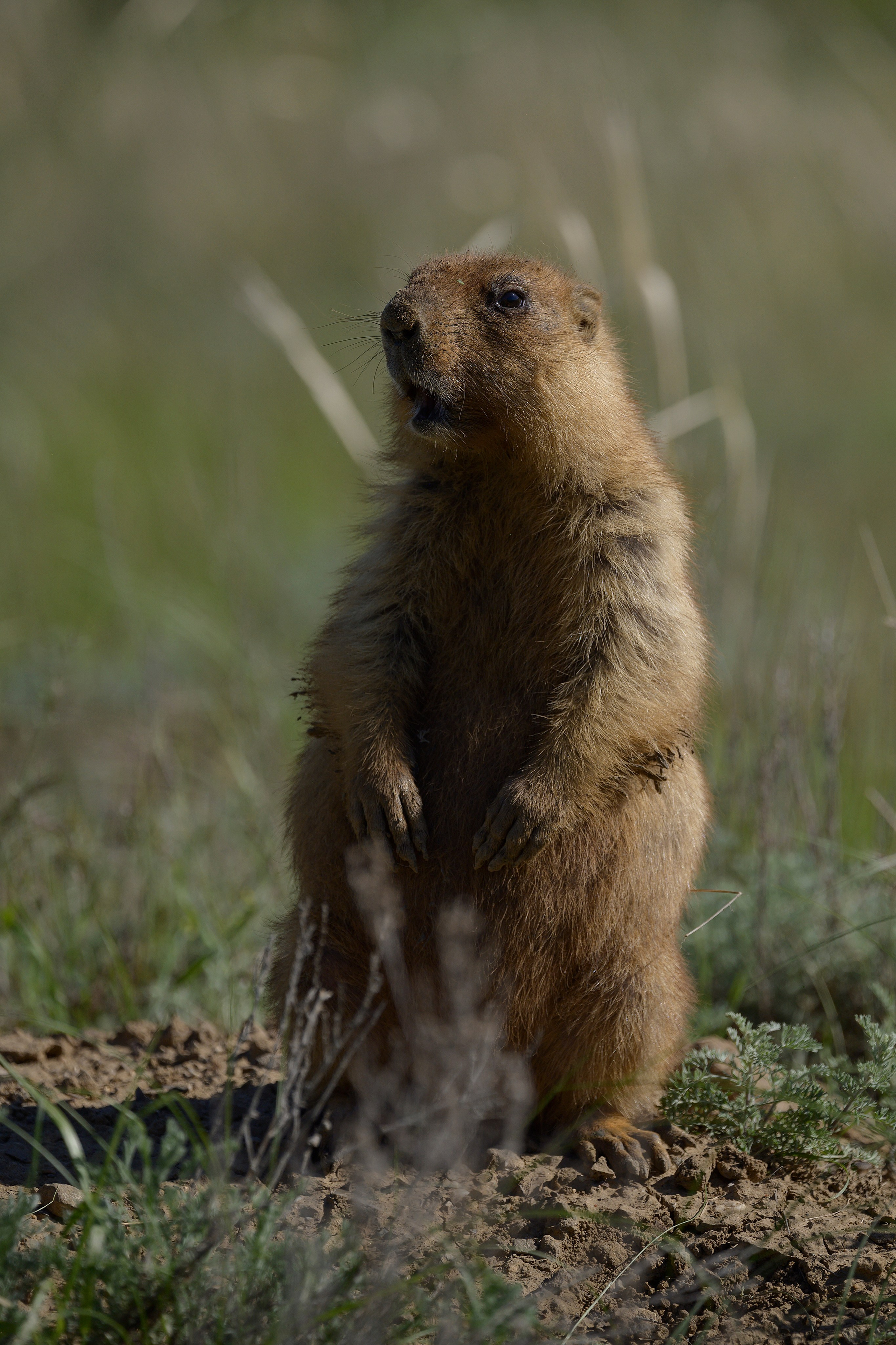 Оренбуржье. Портретный фотограф в Челябинске Катерина Руди