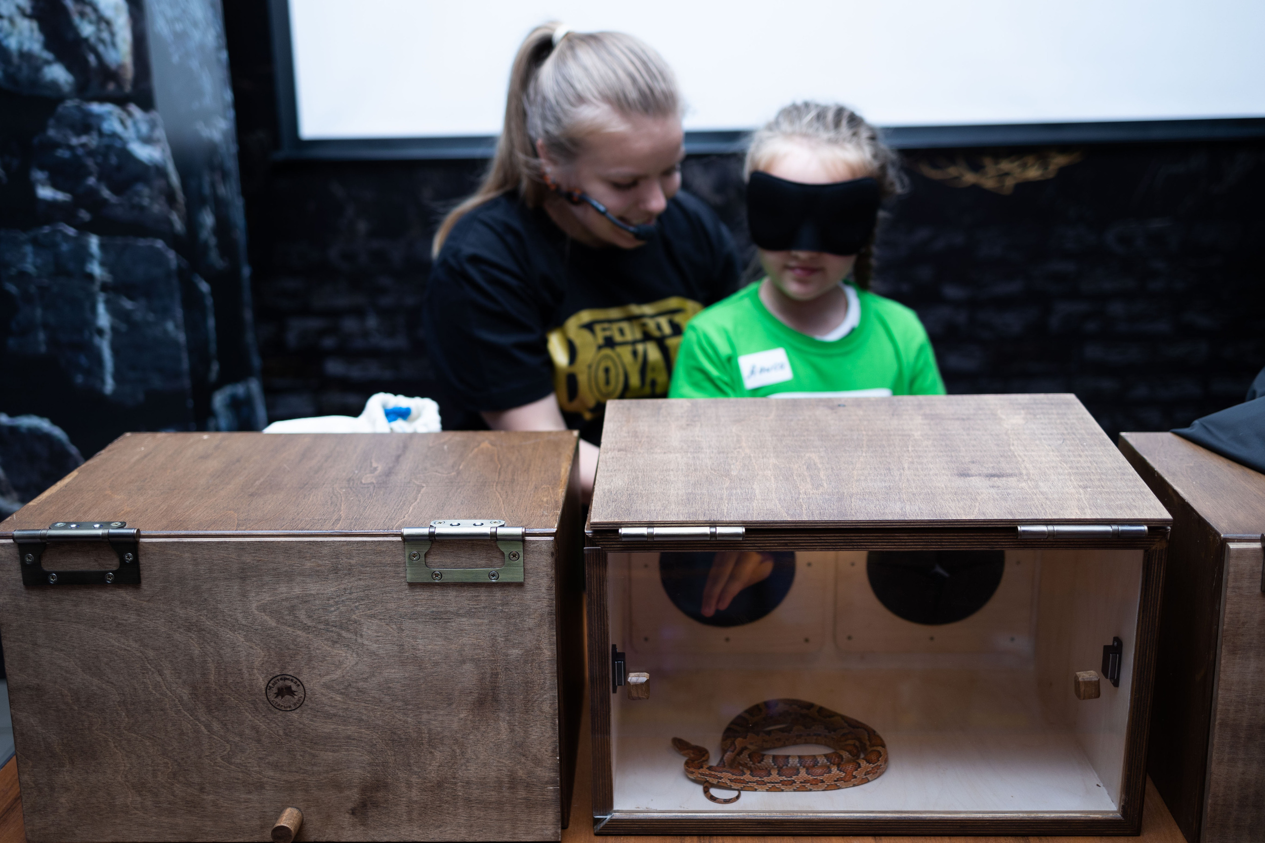 День рождения Влада «Форд Боярд». Семейный, индивидуальный фотограф в Москве Ангели Марина