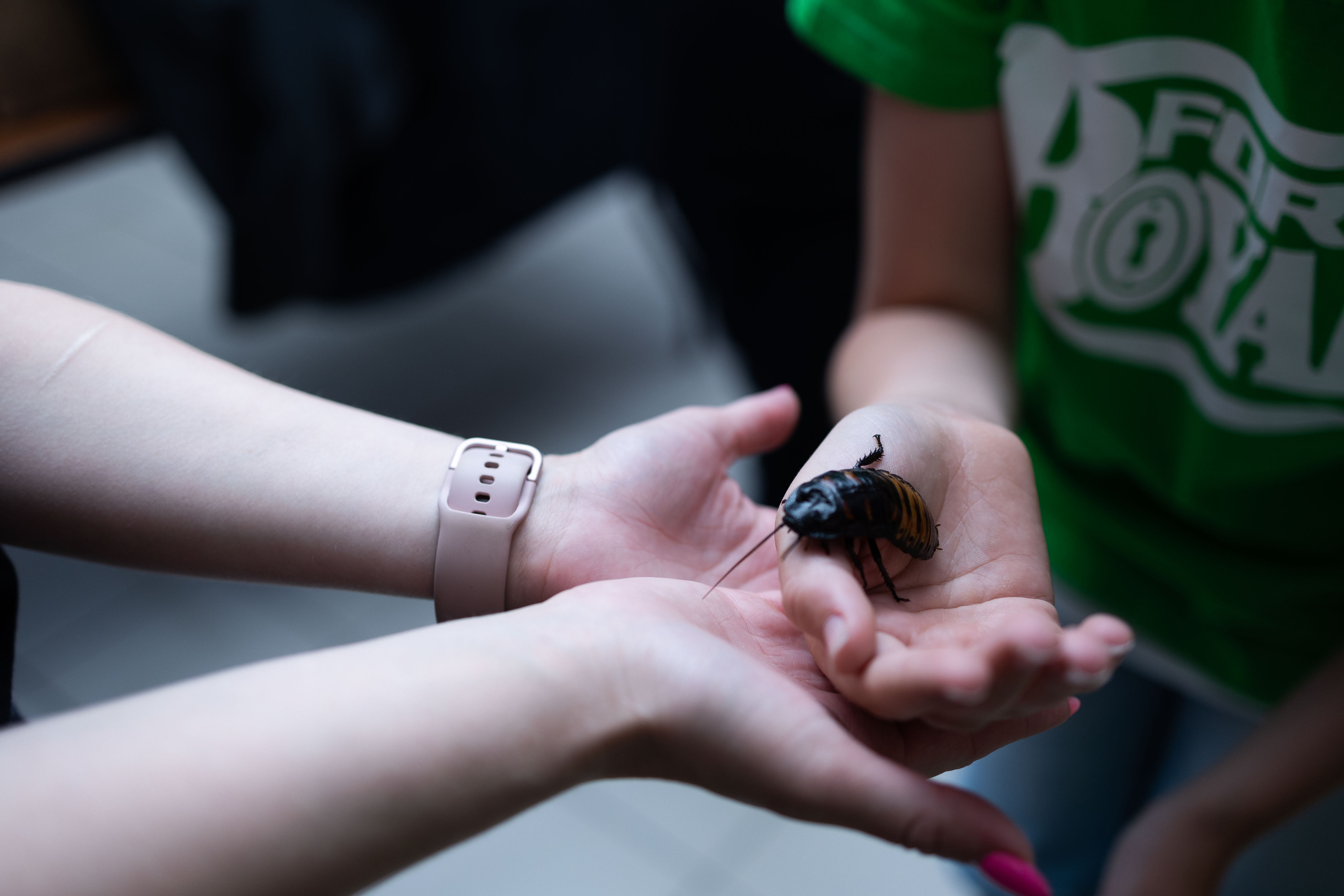 День рождения Влада «Форд Боярд». Семейный, индивидуальный фотограф в Москве Ангели Марина