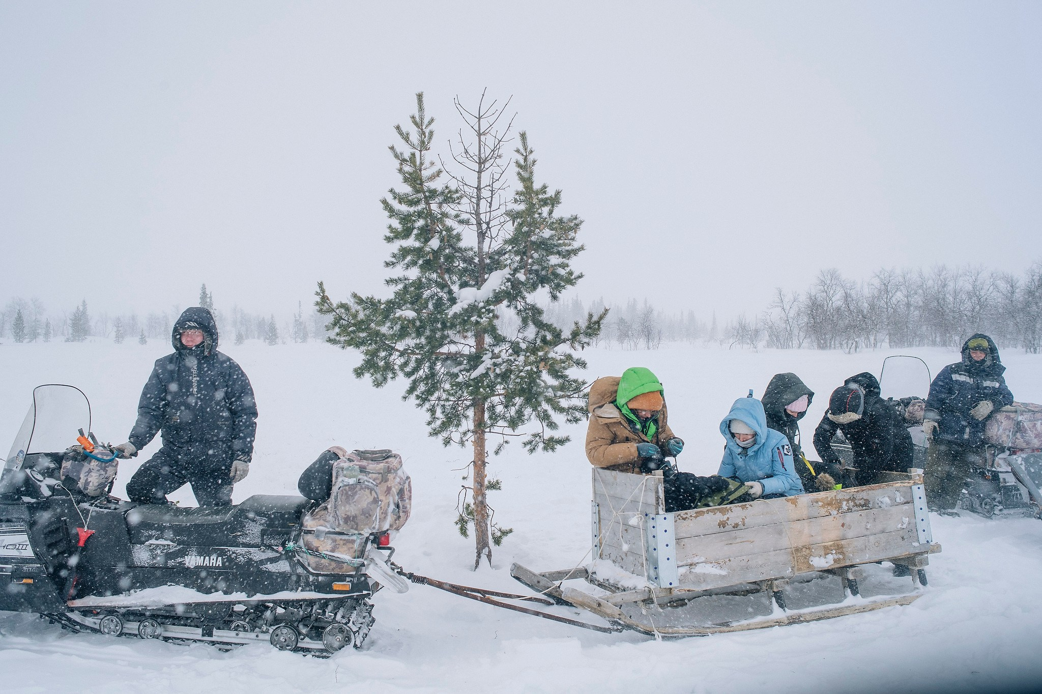 Кораль. На север к оленям. Репортажный фотограф в Сочи — Михаил Мордасов