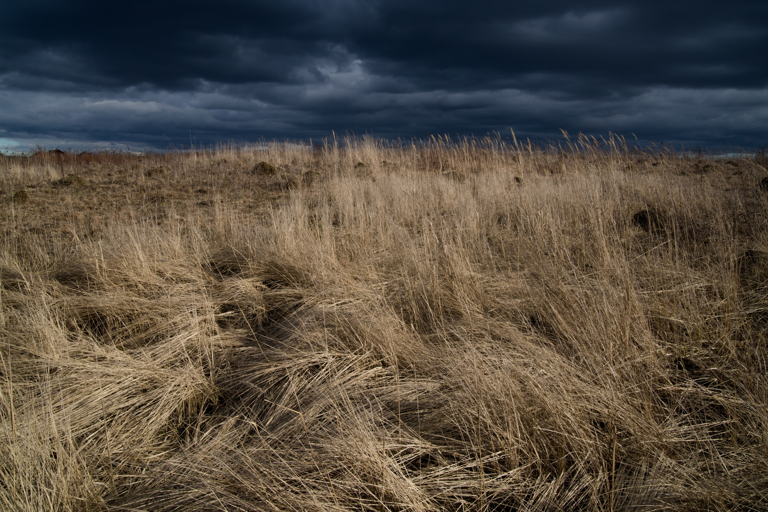 Singles 2. Alyona Kochetkova | Photographer and photography educator