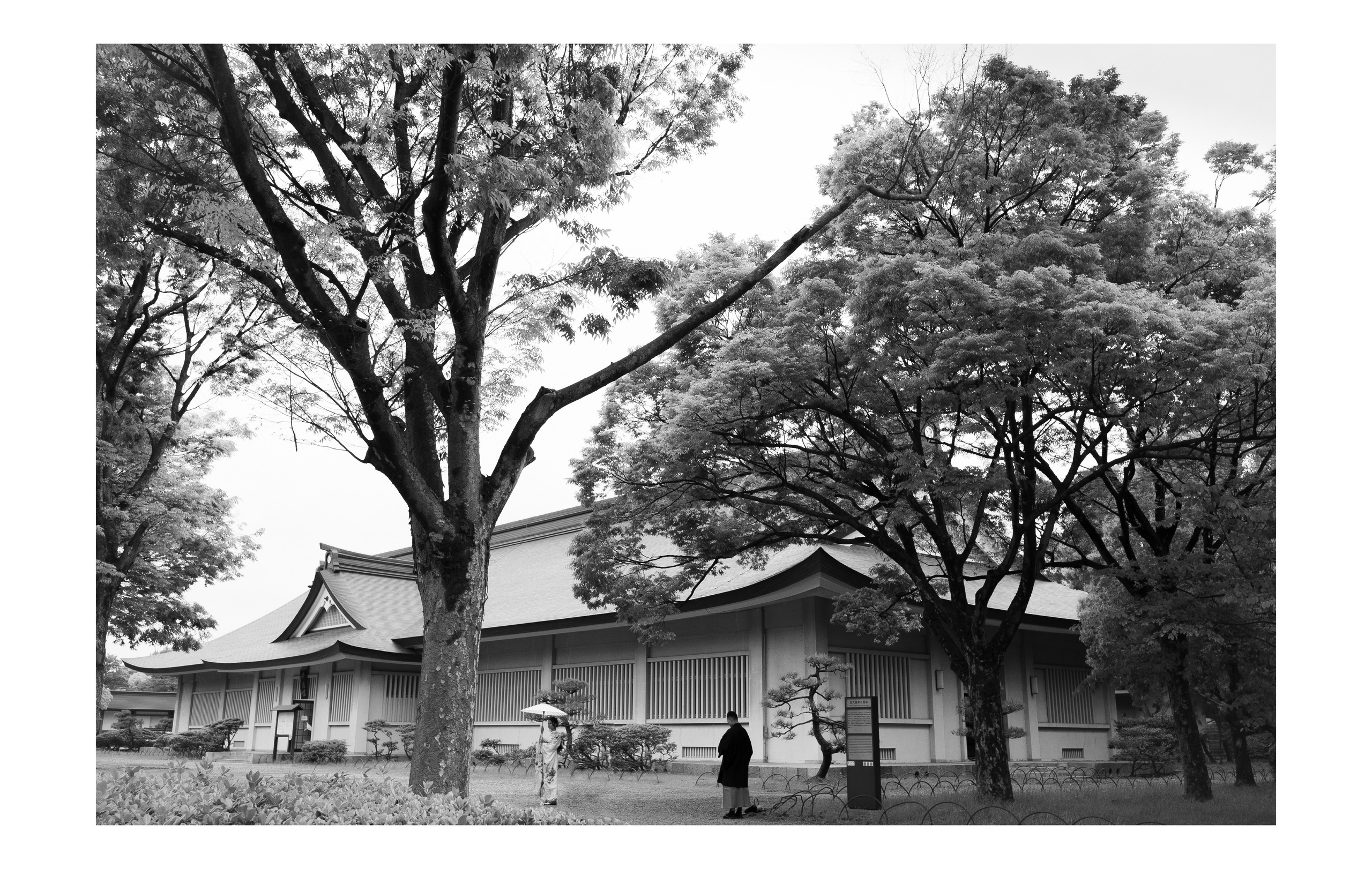 Япония. Фотографии Руслана Сайдалиева (Рус Сай)