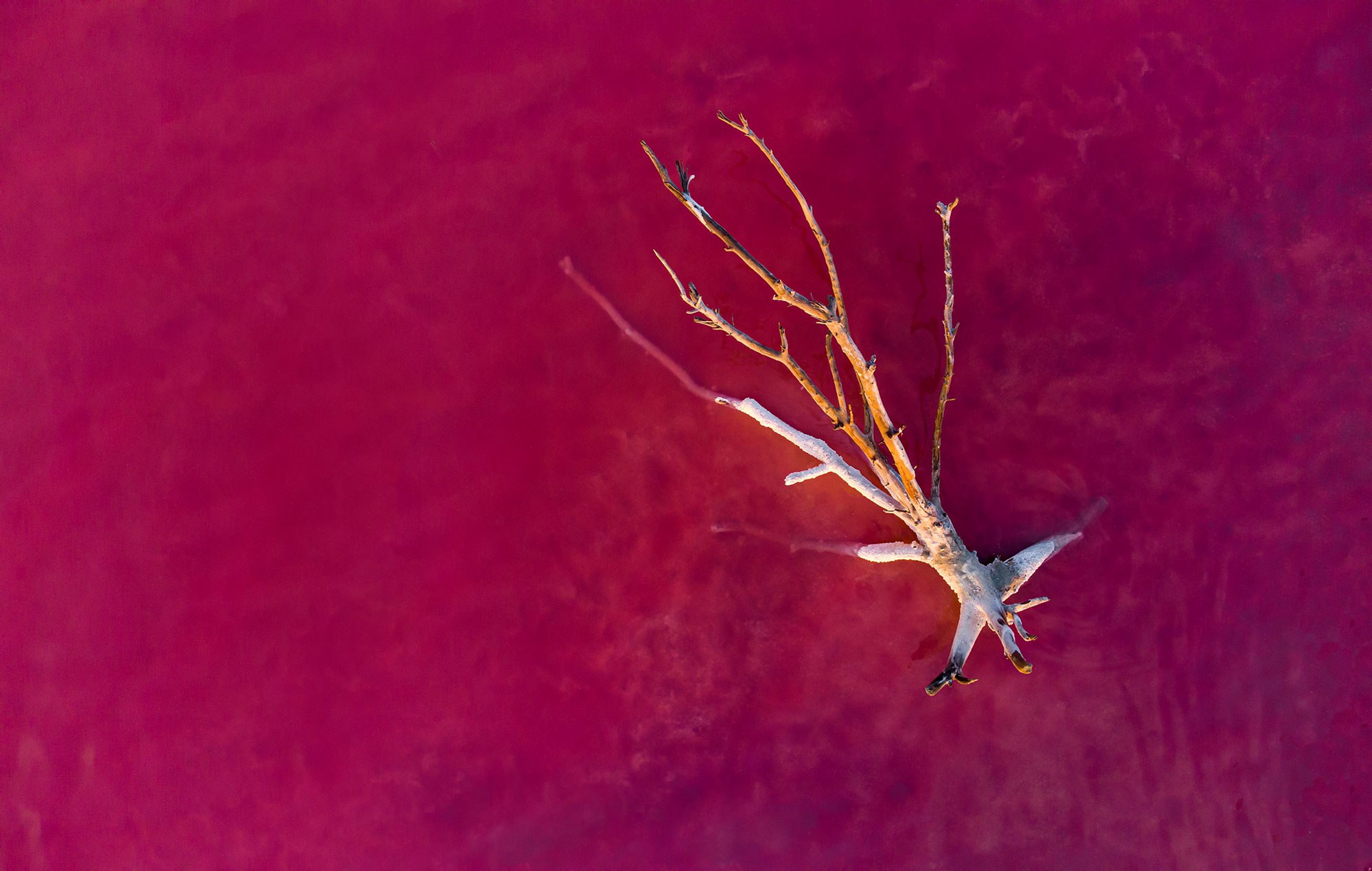 Свадебный фотограф в Геленджике
