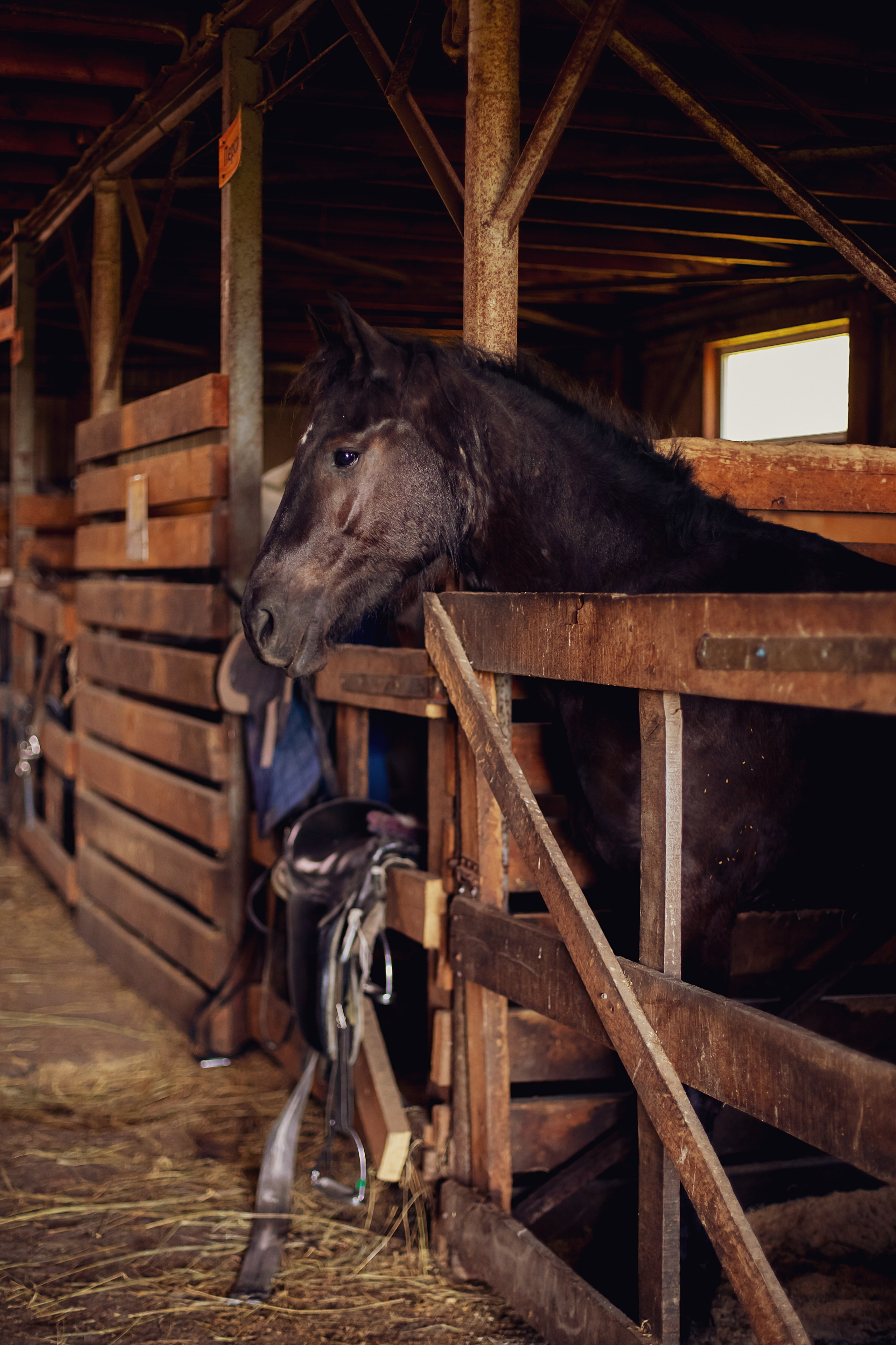 Татьяна. Свадебный и семейный фотограф/видеограф в Краснодаре Наталья Осинская