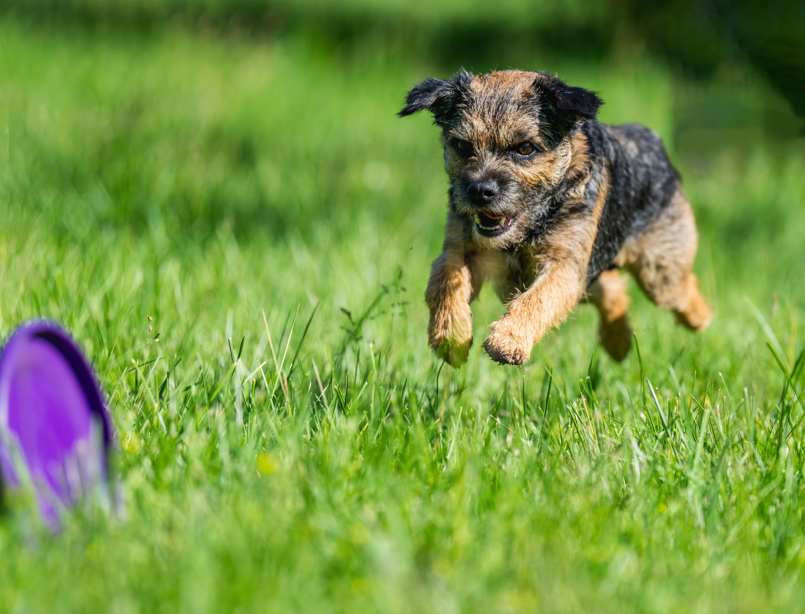 Репортаж. События. Константин Дем | Фотограф