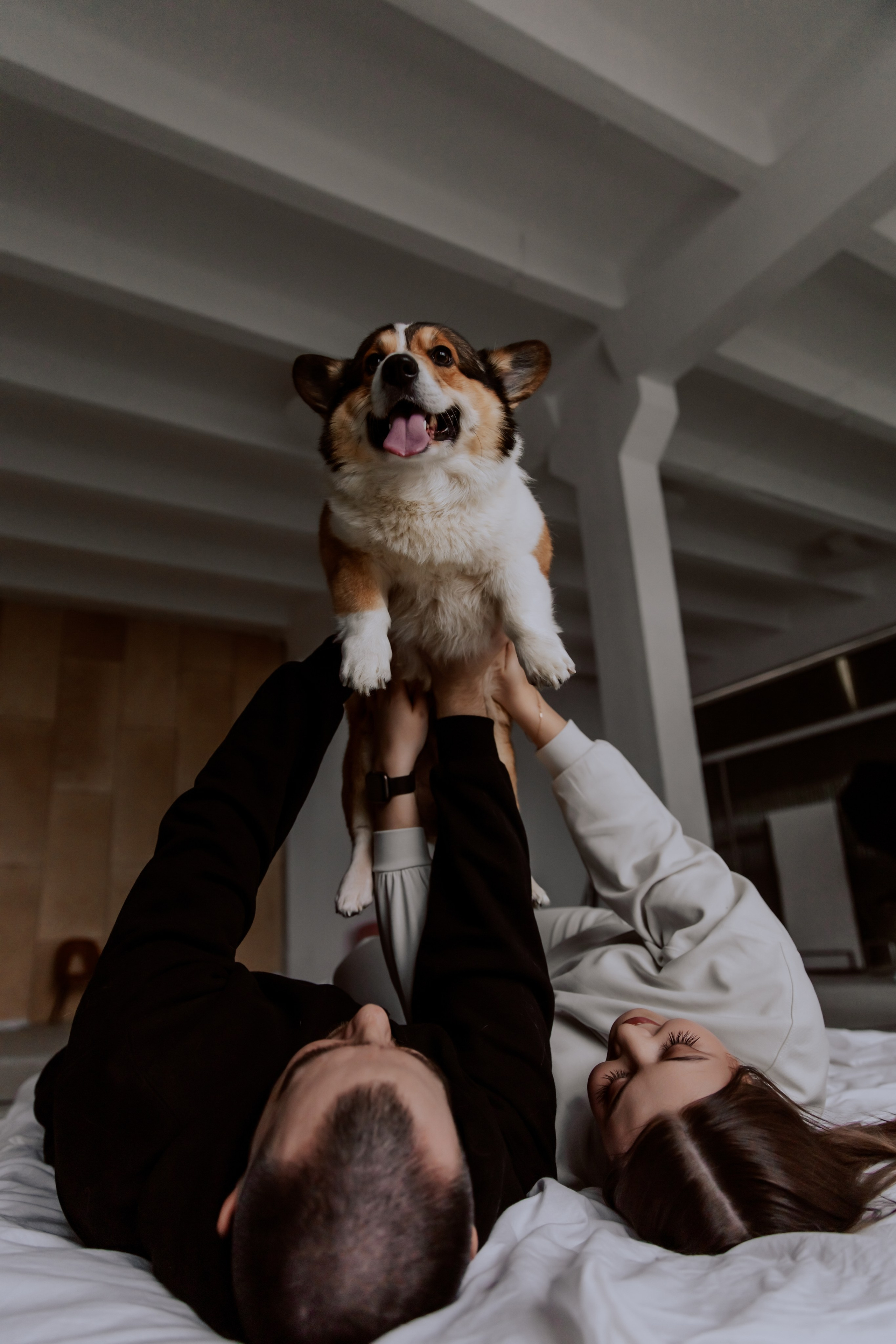 Саша, Илья и песик Кураж. Фотограф, который снимает любовь в Санкт-Петербурге и Череповце