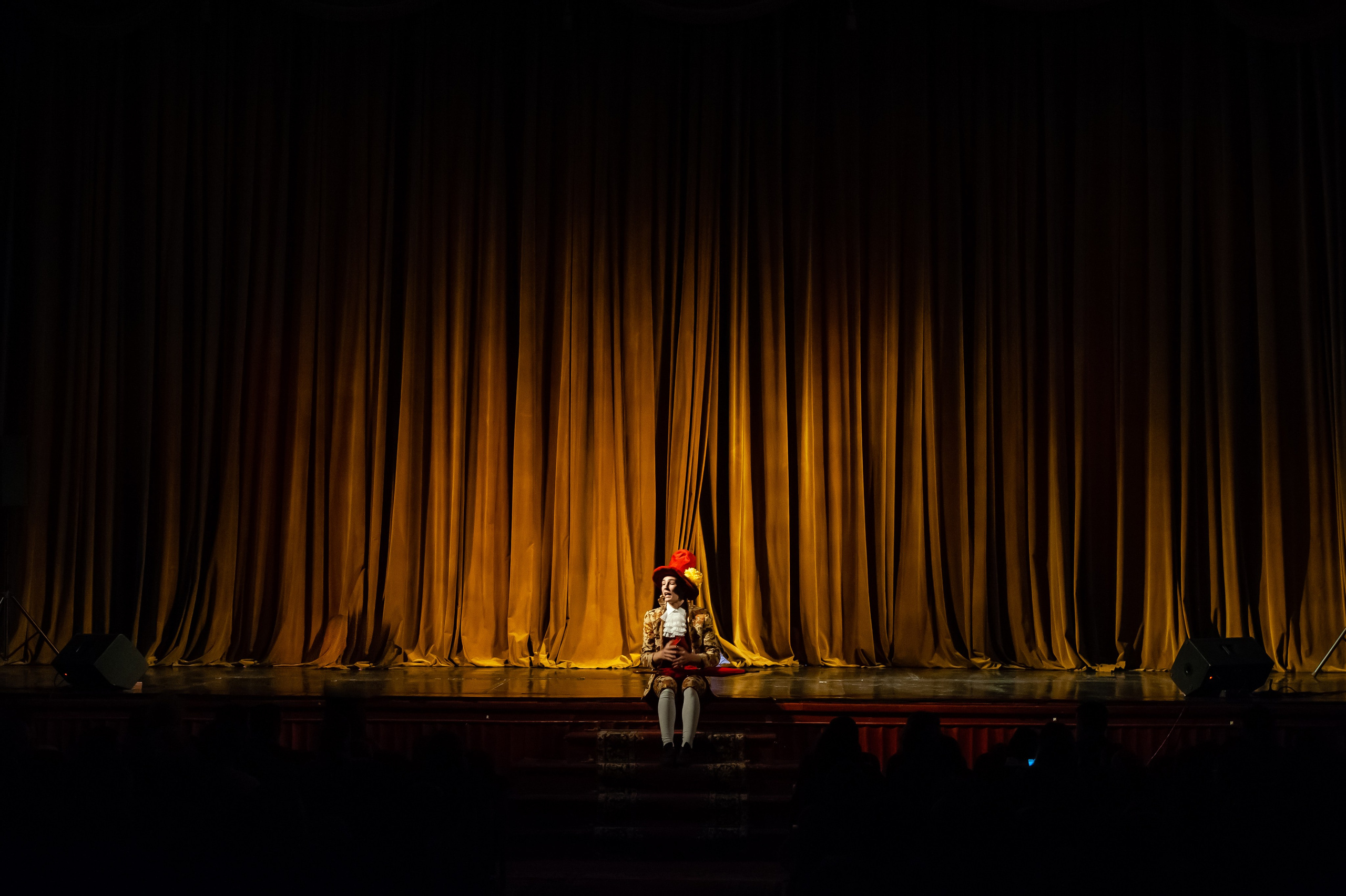 Путешествие Нильса с дикими гусями МДТ Синяя Птица