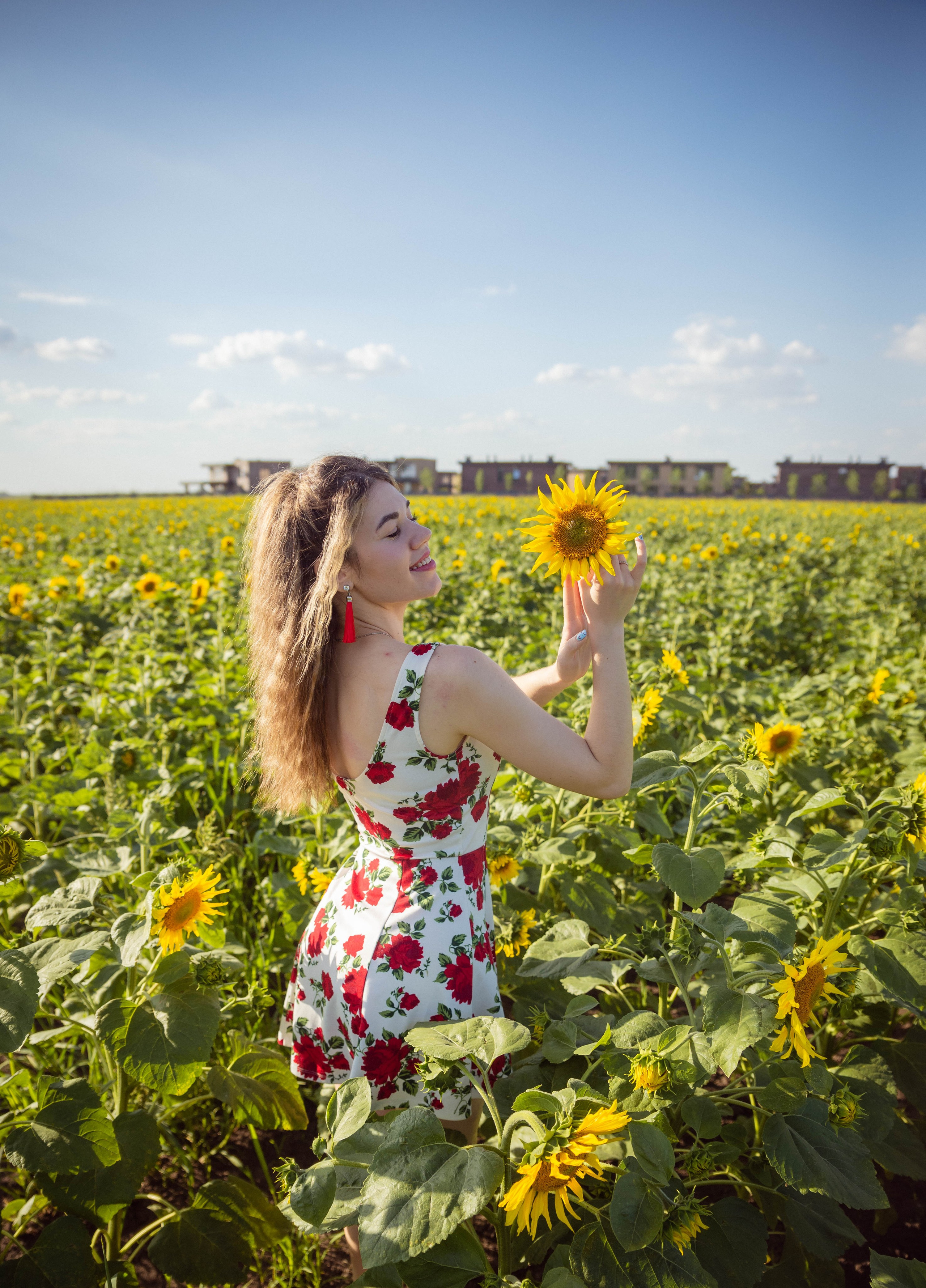 Подсолнухи. Семейный Фотограф в Краснодаре и крае