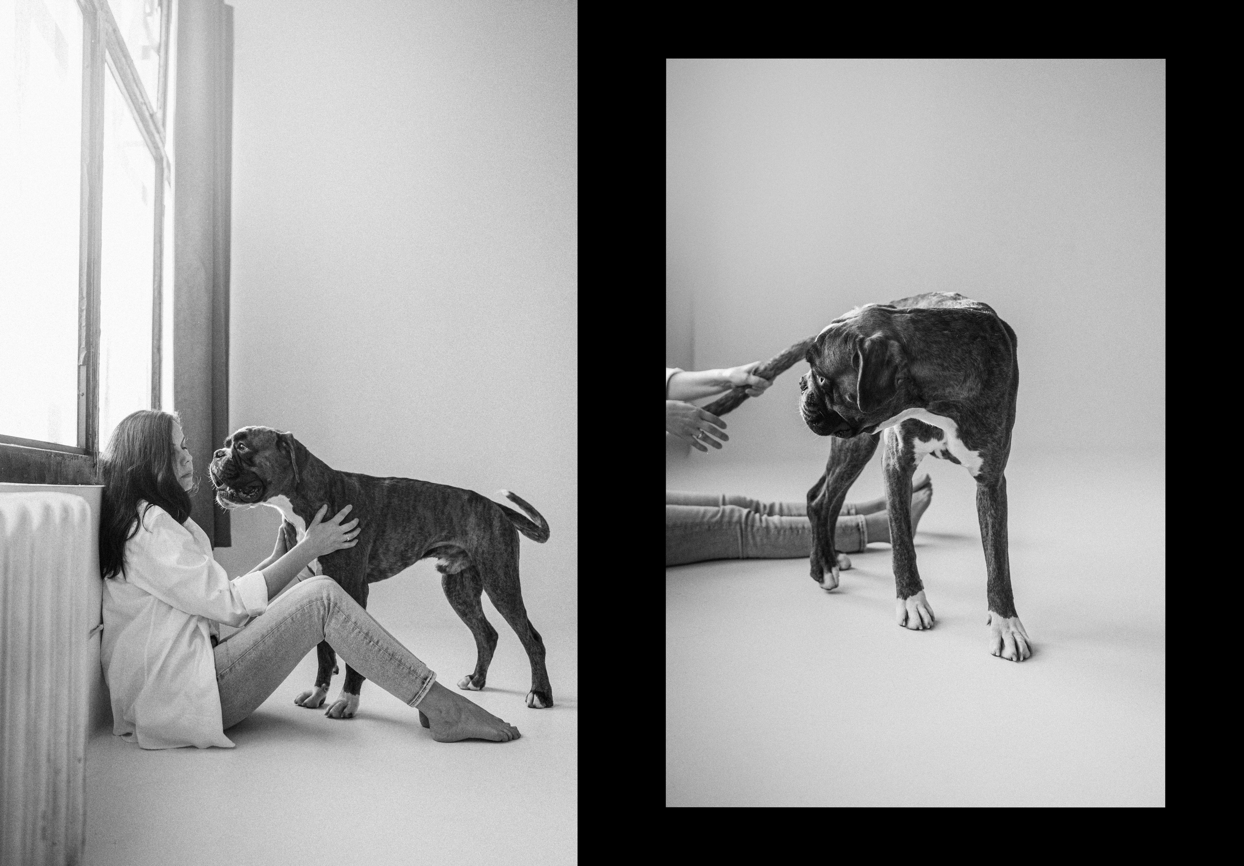 Анна, Максим и Марсель. Фотограф анималист в Москве и Санкт-Петербурге Свиридова Анна