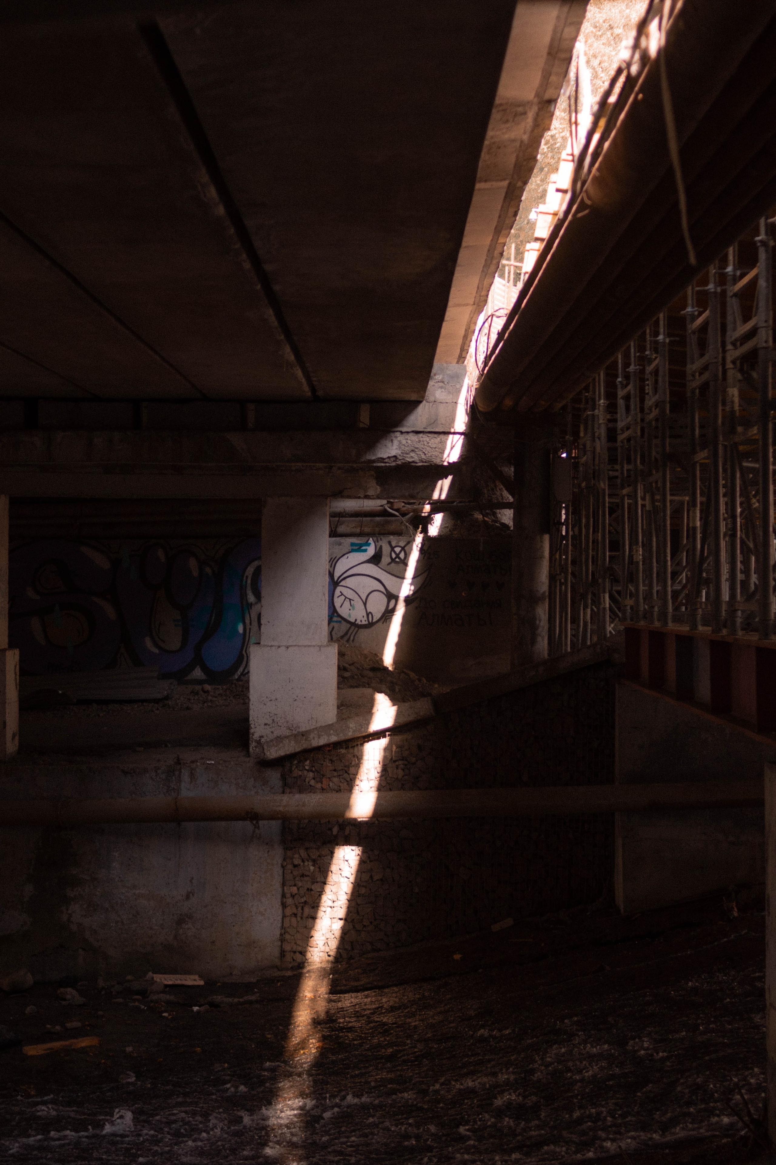 Визуальный дневник. Репортажный фотограф в Алматы Цой Сергей