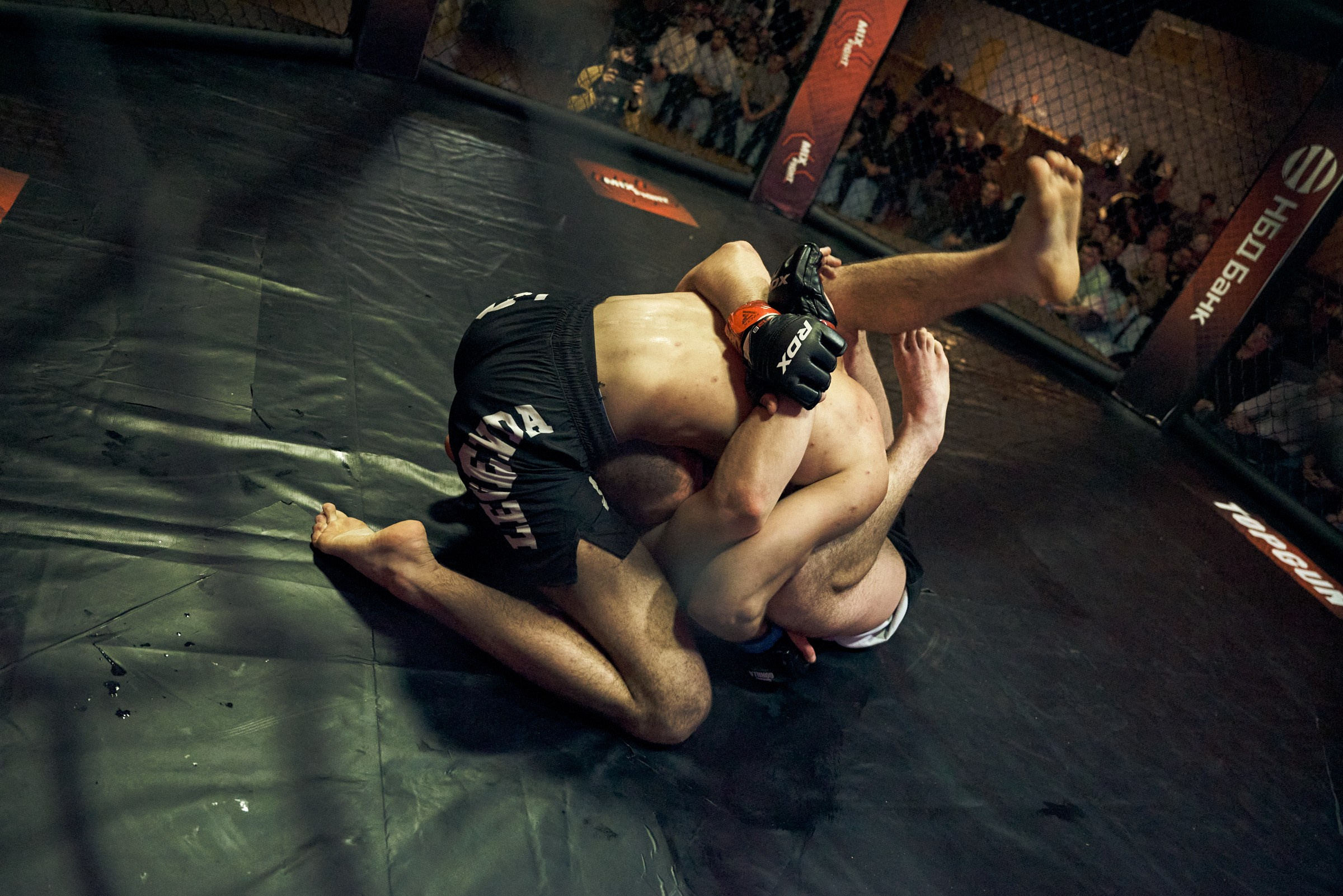 Бои. Маляревич Дмитрий свадебный фотограф