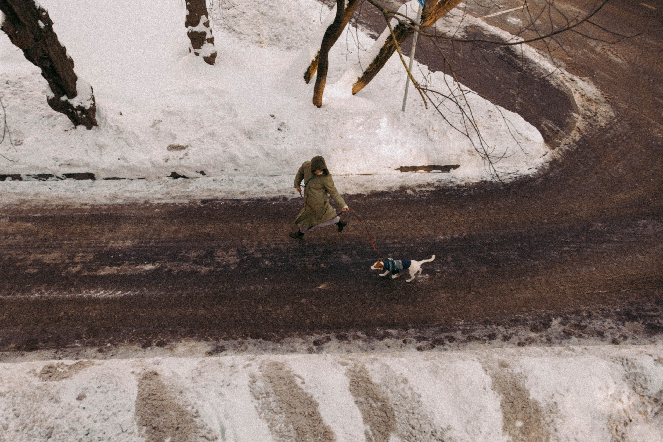 Лика и Клео. Свадебный фотограф Оля Григунова