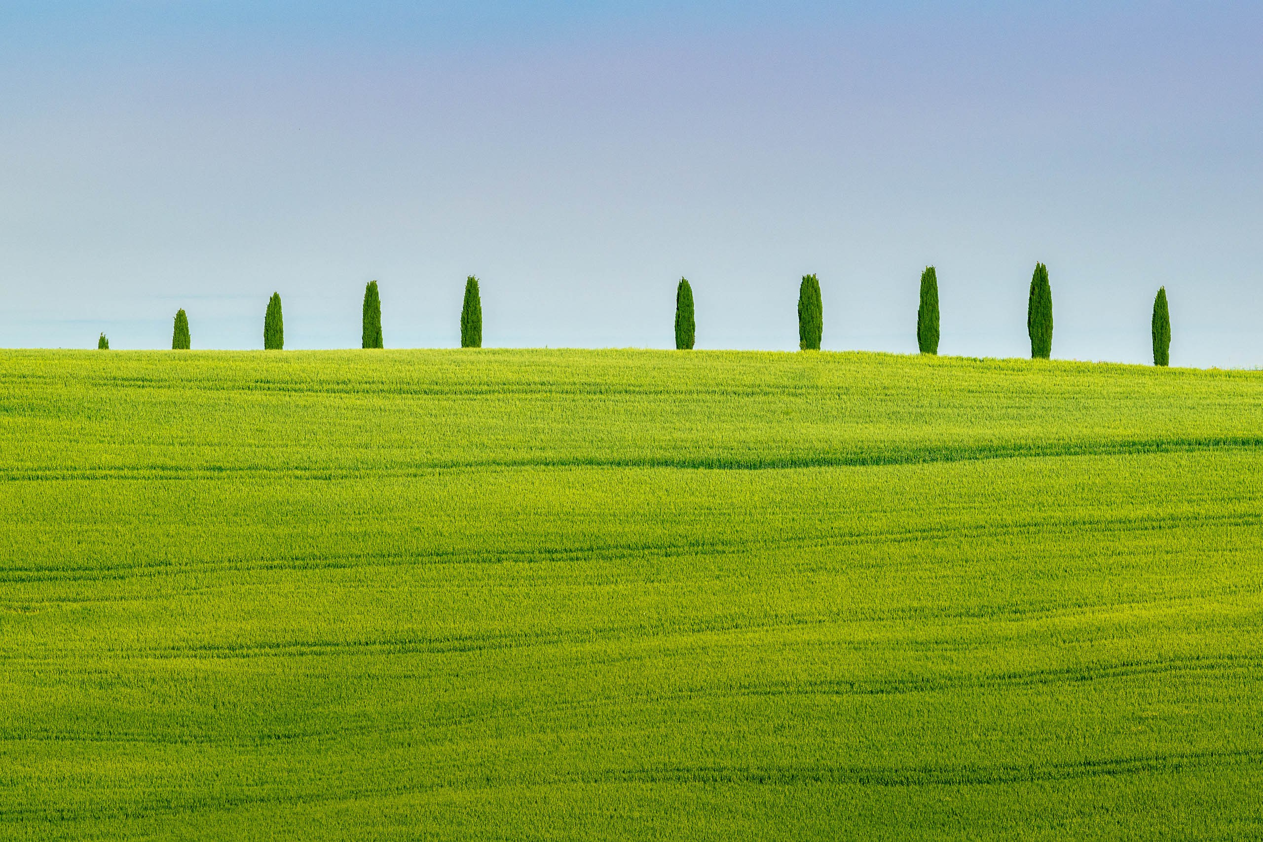 Фотографии для интерьера Вашего дома, квартиры, офиса или дачи. Авторские стильные фотокартины