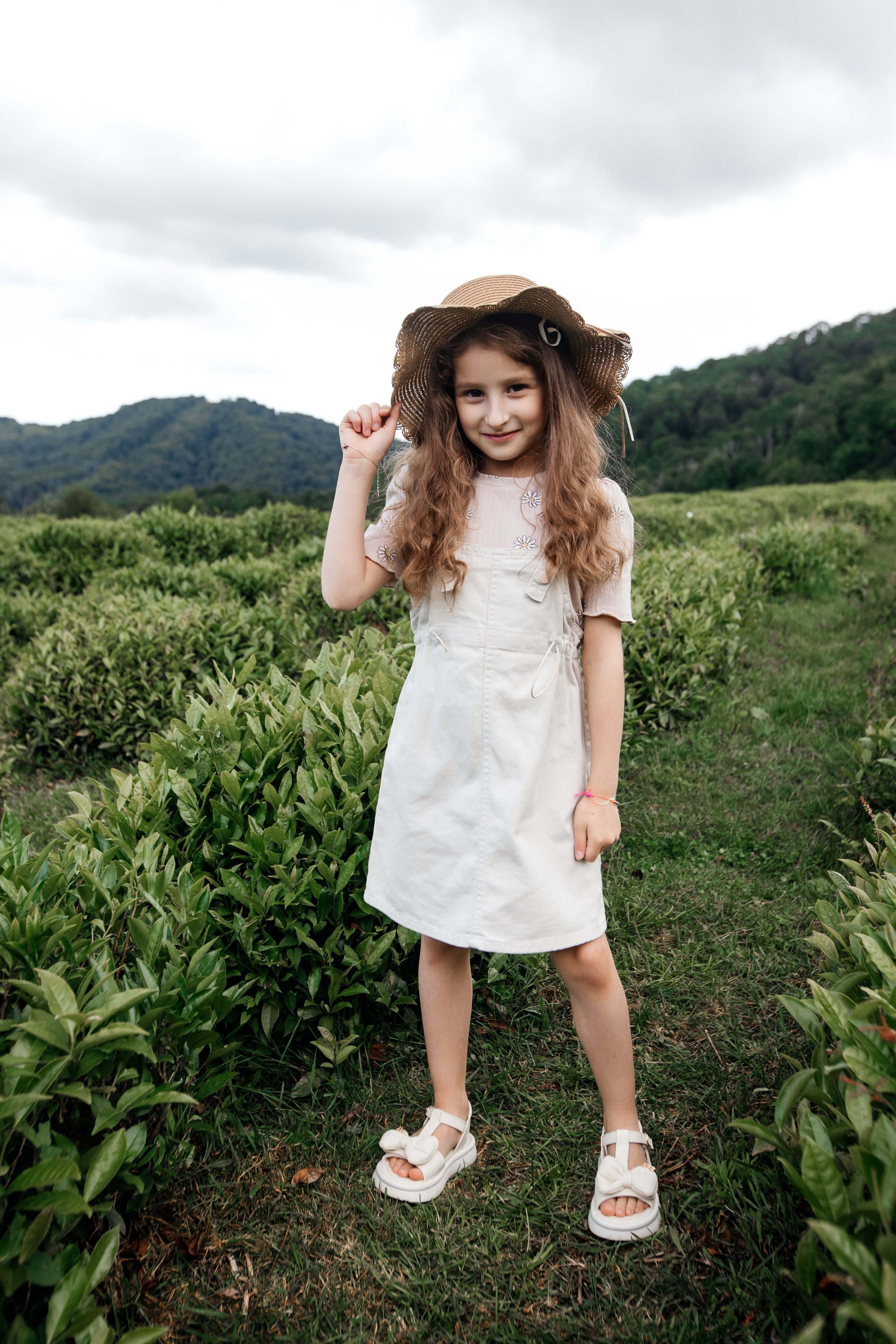 Tea plantation. Efimova Model Agency