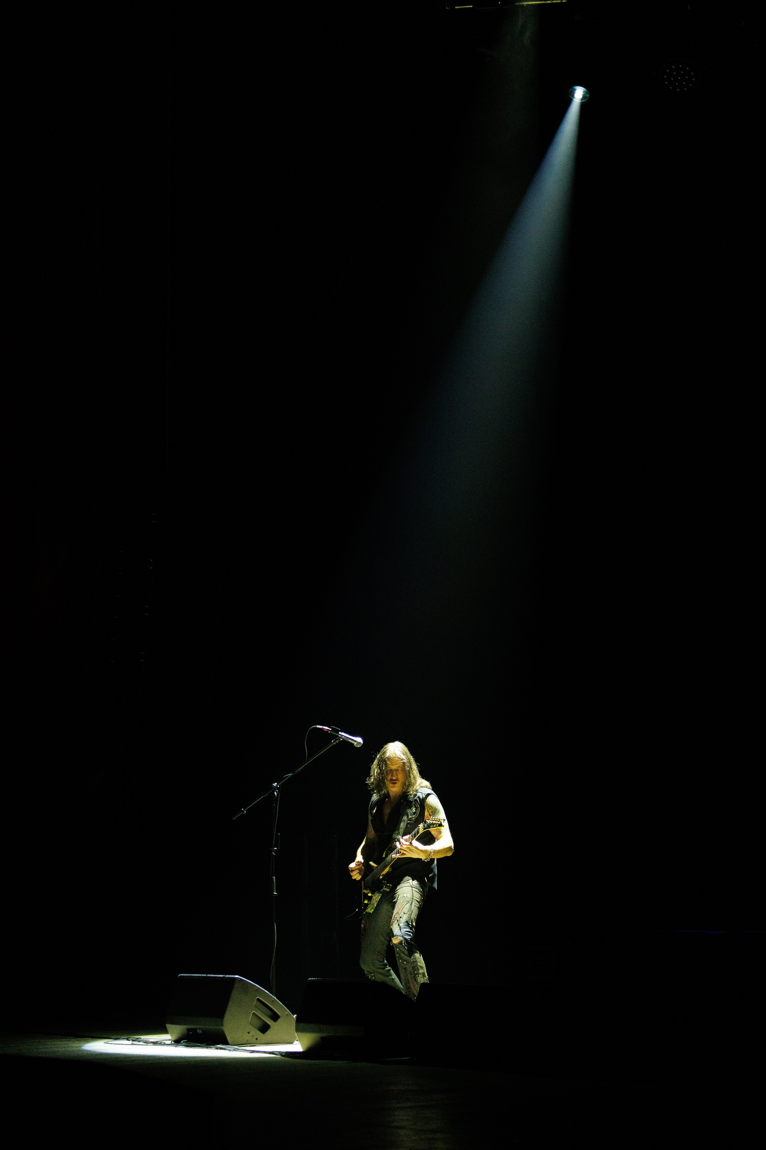 «КИПЕЛОВ». Photomantis