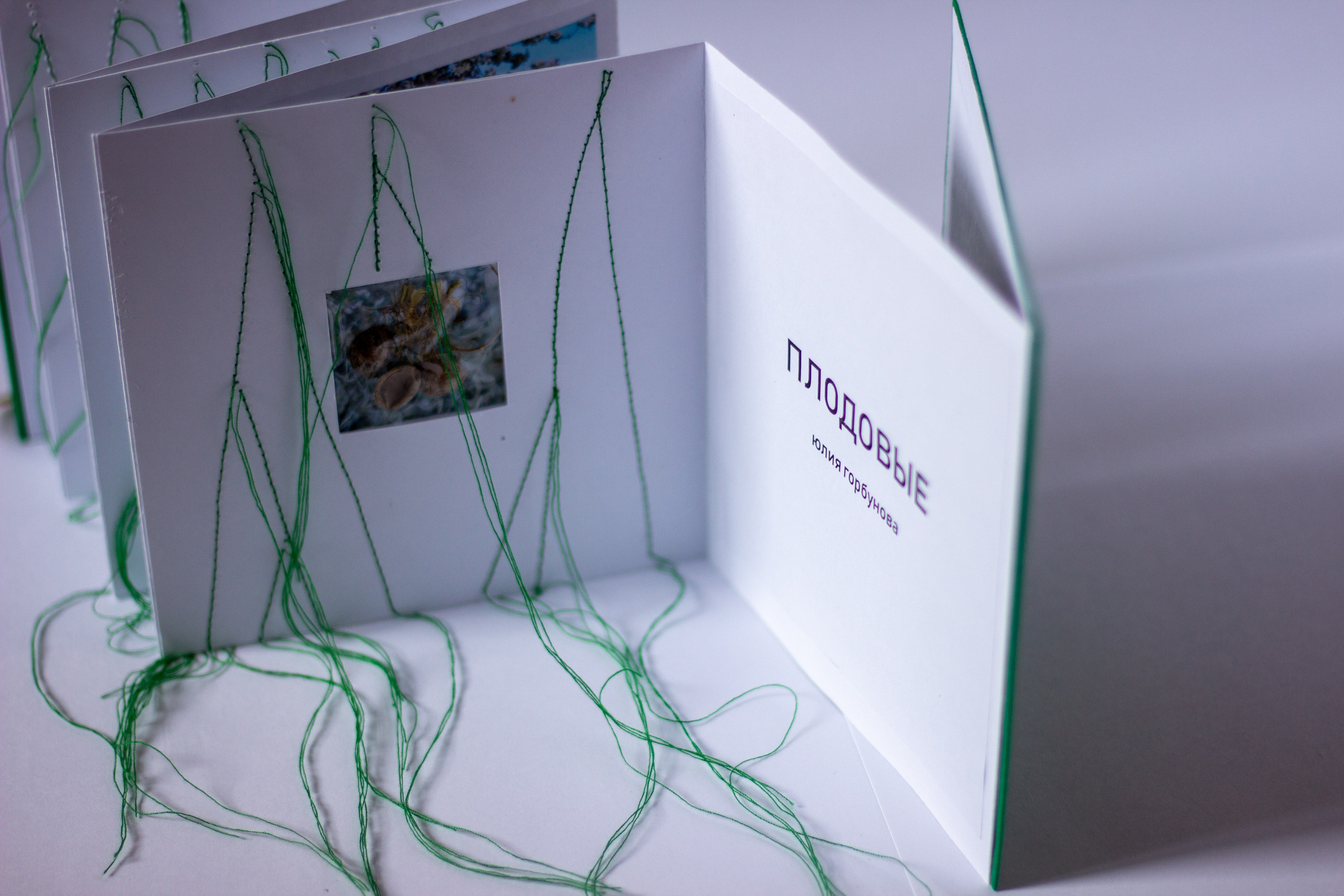 Плодовые (2024 — в процессе). Julia Gorbunova