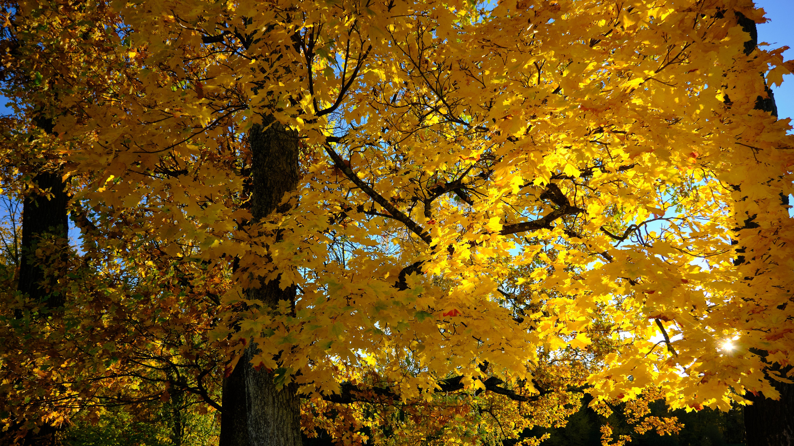 Времена года. Пейзажи Крайнего Севера. Баренцево море, Рыбачий, Средний, Немецкий