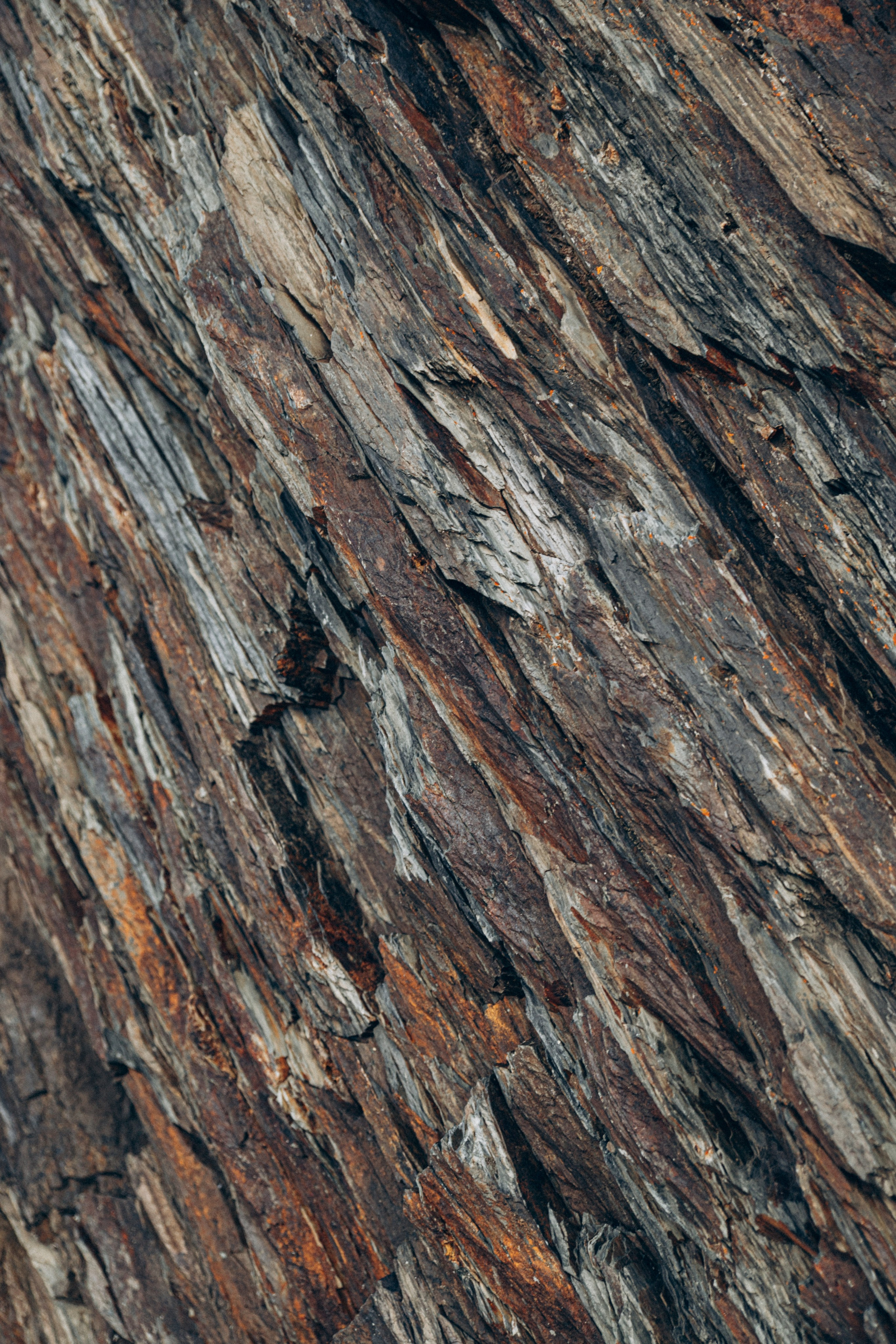 Грузия. Репортажный и детский фотограф в Минске