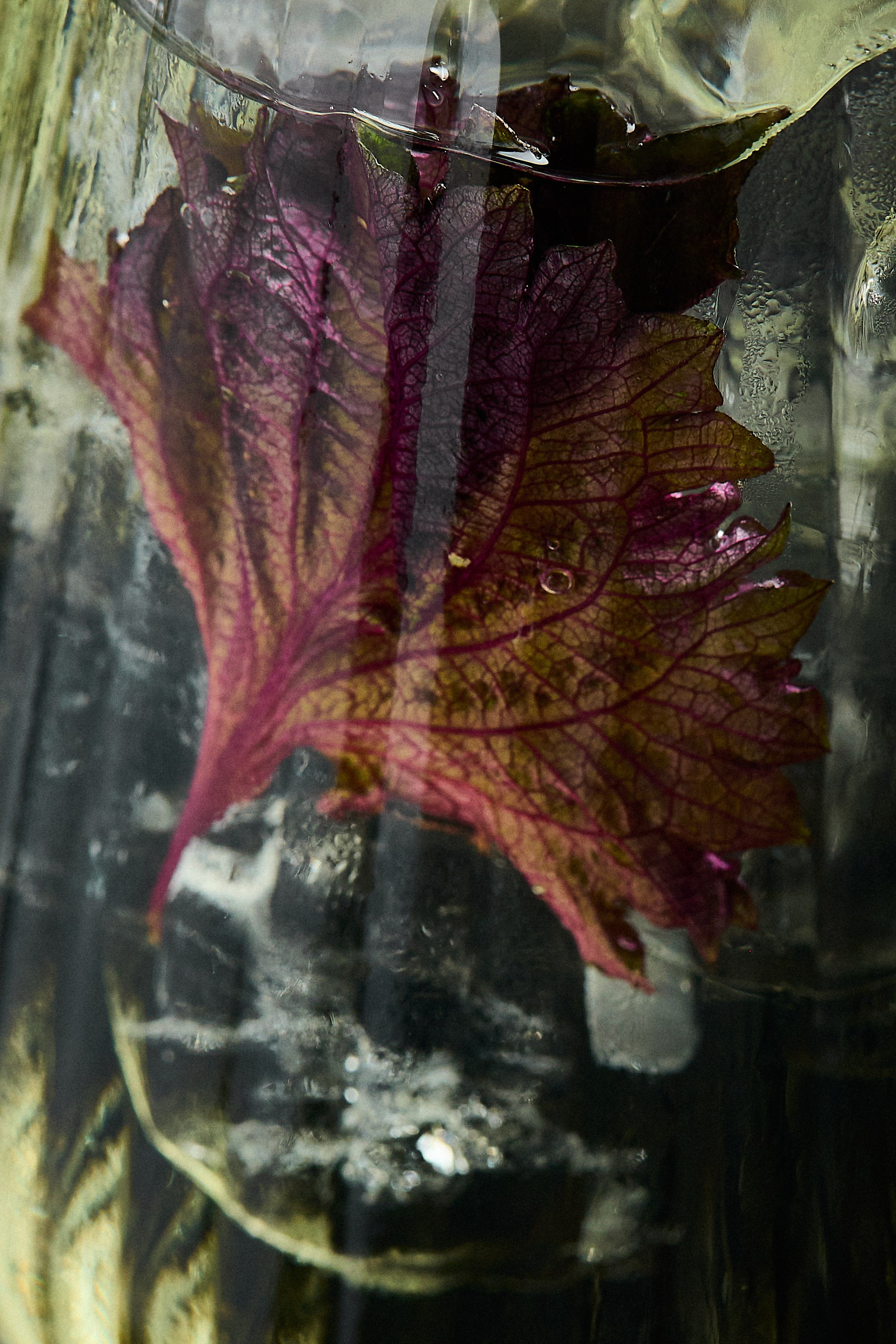 РЕСТОРАНЫ. Контент фотограф в Москве Ник Фрост