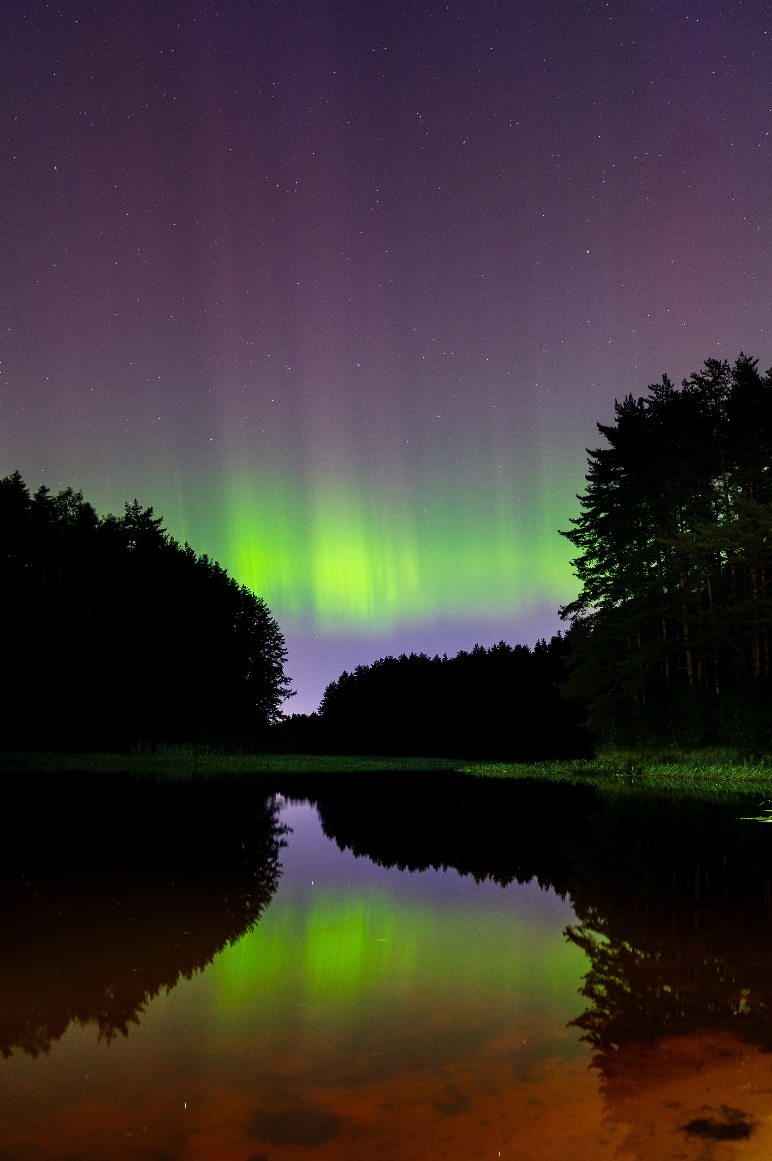 Фотогалерея Евгений Мальцев: Природа, пейзажи. Репортажный фотограф Санкт-Петербург | Мальцев Евгений