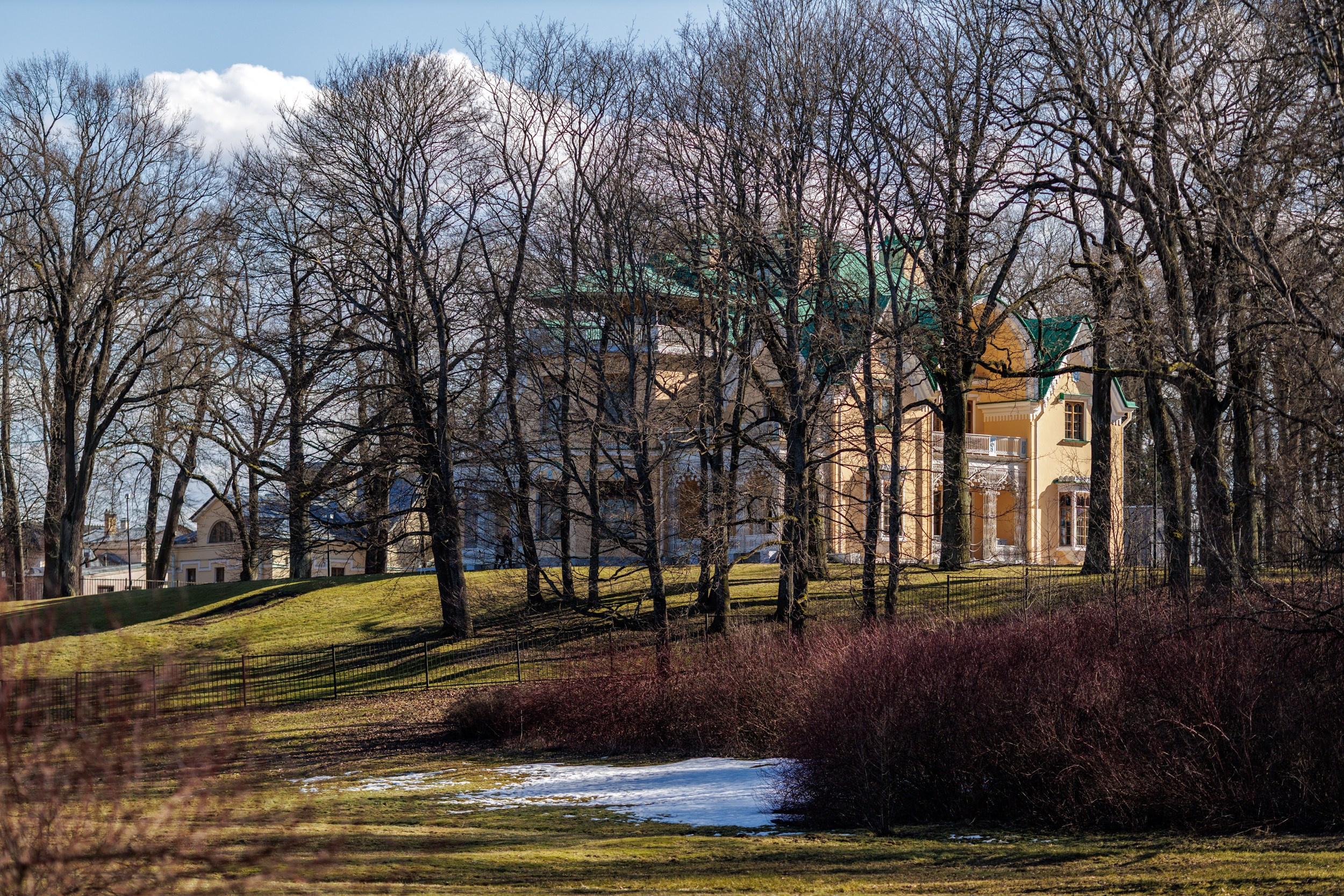 Весна пришла в СПб. Фотограф Александр в Санкт-Петербурге