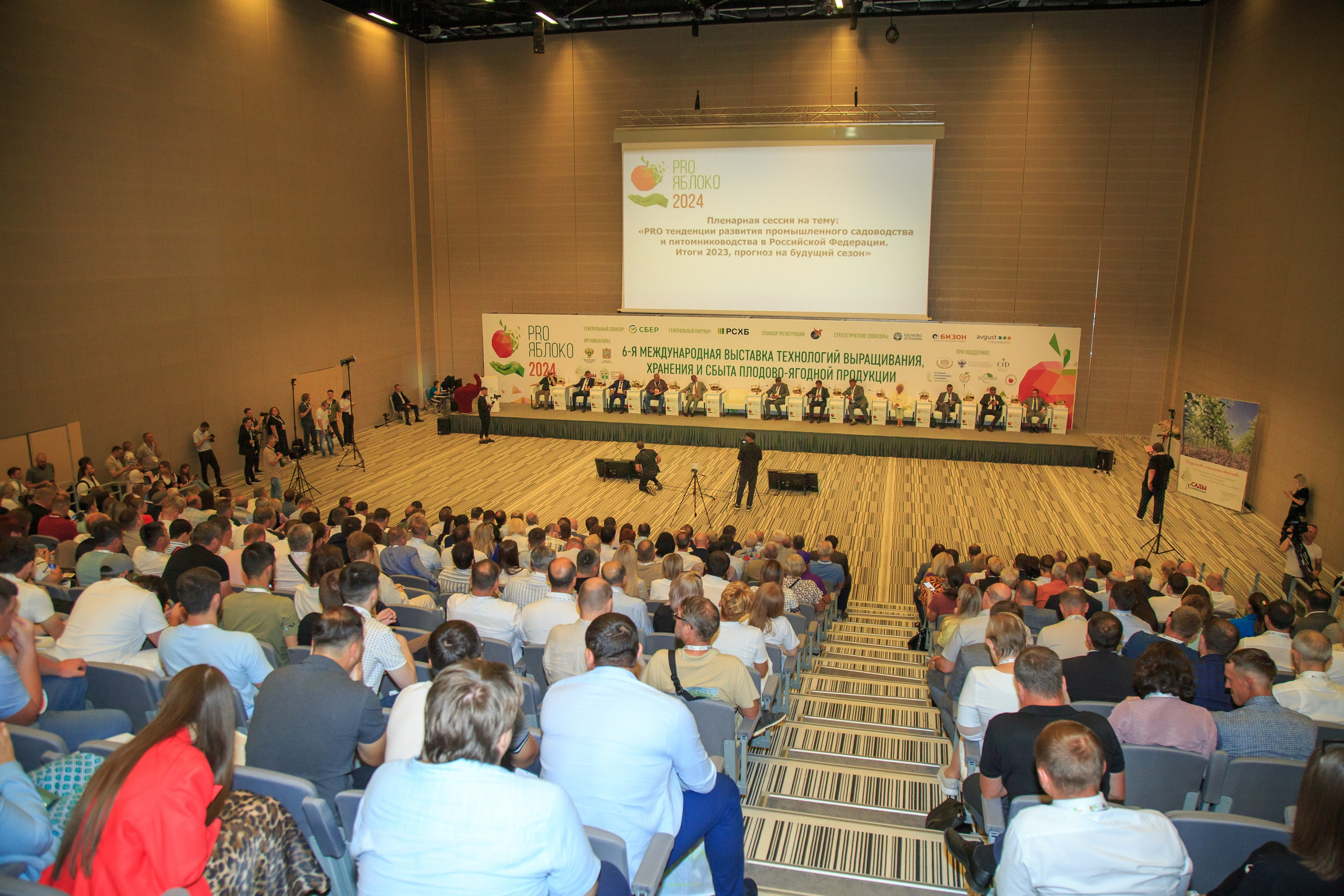 Репортажный фотограф. Репортажная фотосъёмка Минеральные Воды, Пятигорск, Кисловодск, Ставрополь. Репортажный и свадебный фотограф Пятигорск и КМВ