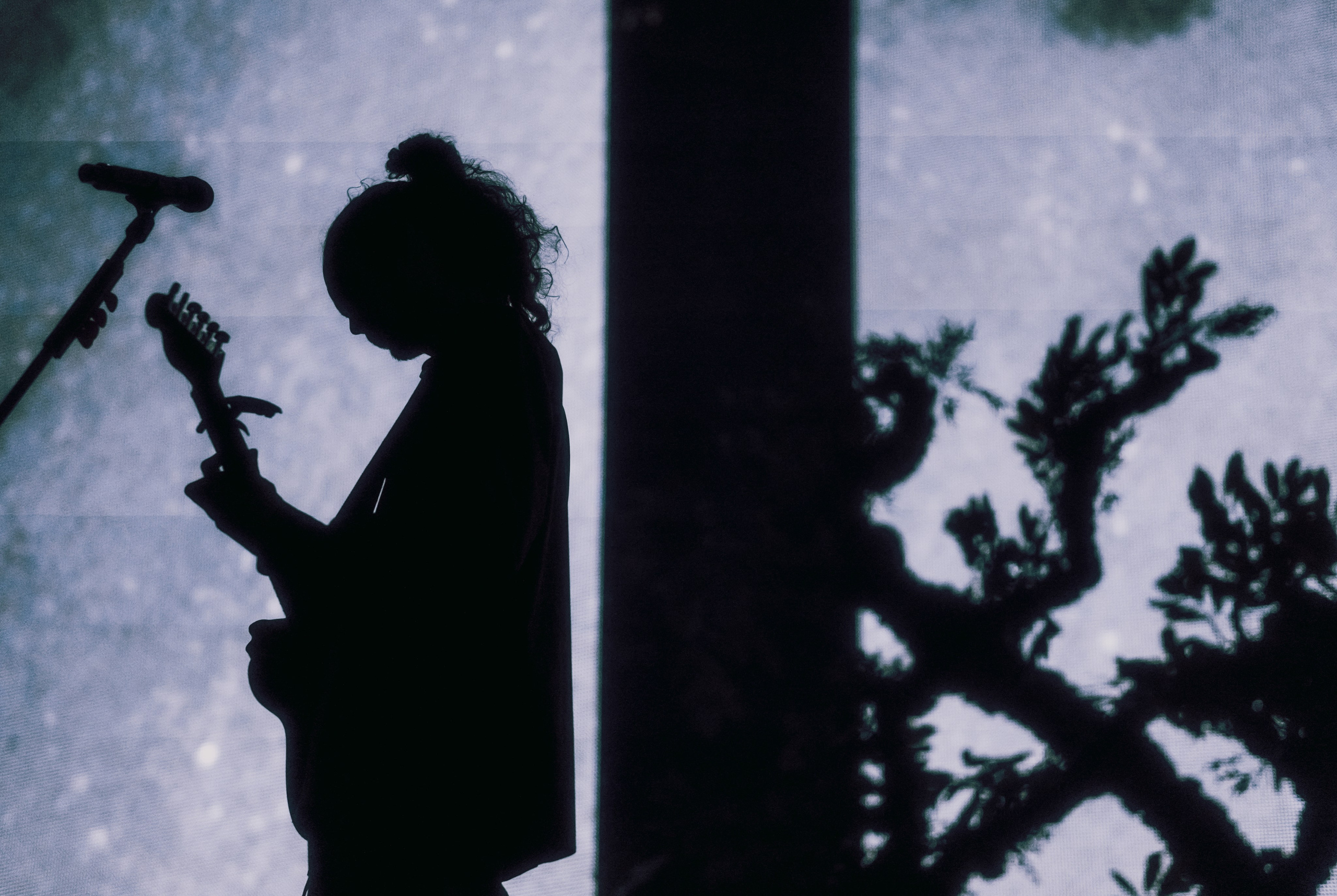 КОНЦЕРТЫ. RVANCEVA