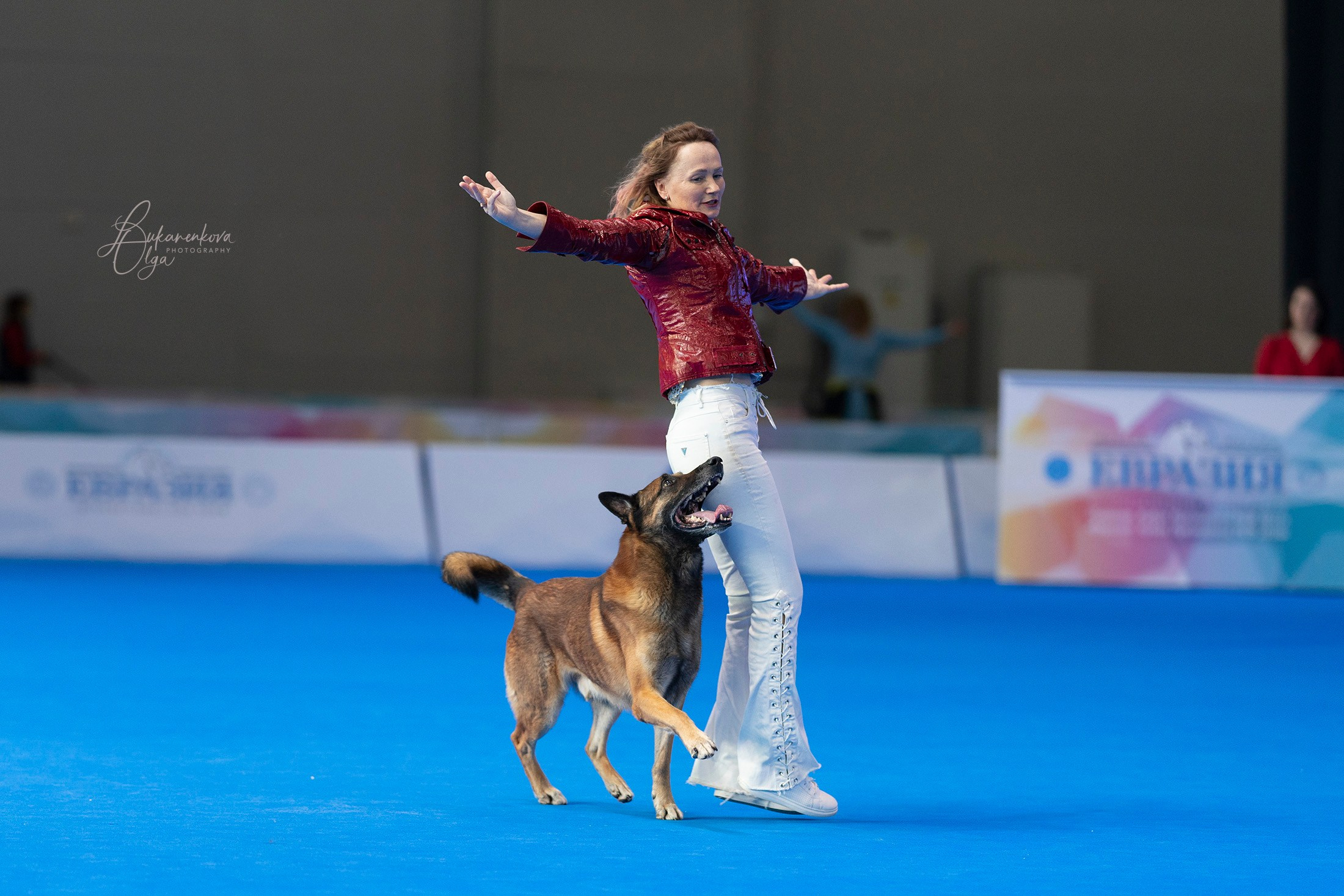 Танцы. Фотограф анималист Ольга Луканенкова в Москве