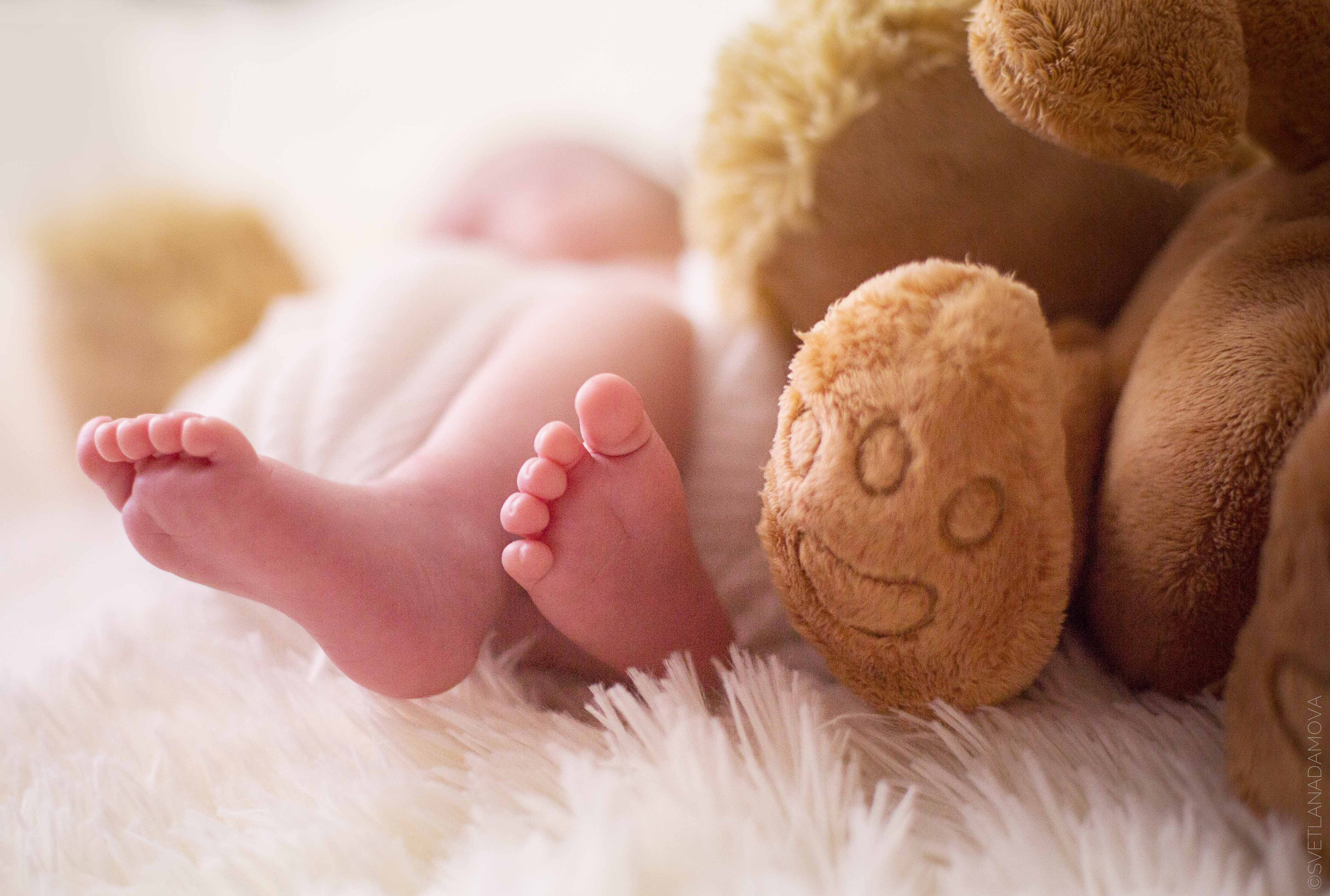 Младенцы. Детский и семейный фотограф в Москве и Подмосковье Светлана Адамова